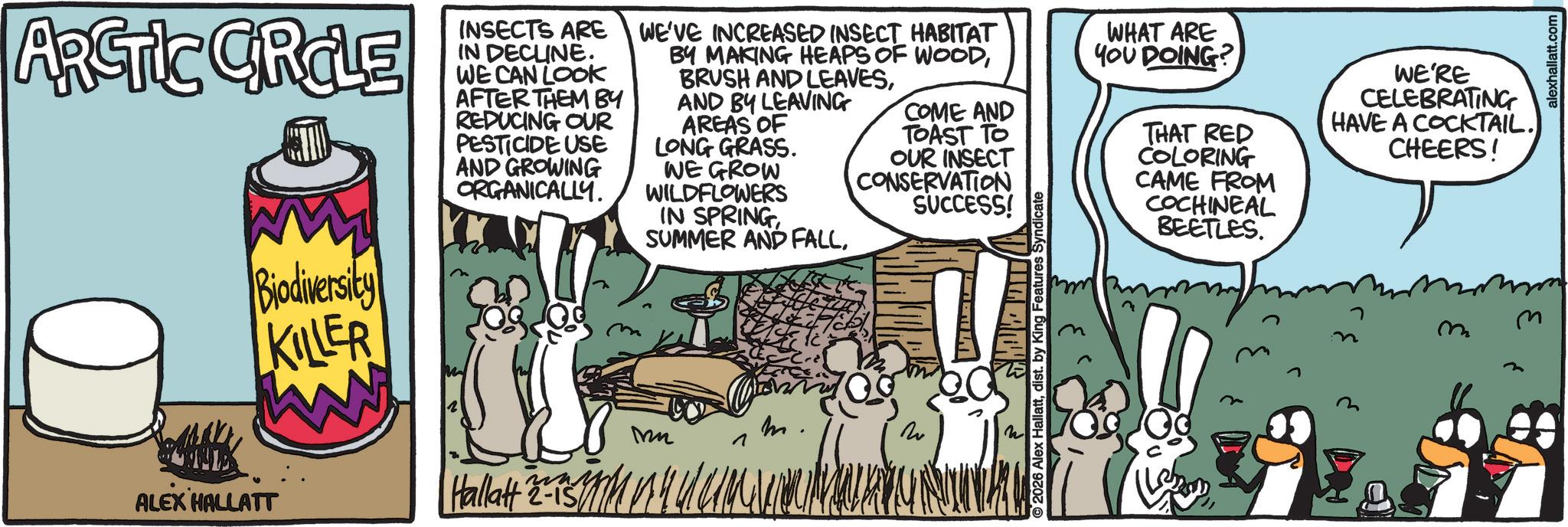 Animated cartoon OCR: ARCTIC CROLE M Biodiversity KILLER INSECTS ARE IN DECLINE. WE CAN LOOK AFTER THEM BY REDUCING OUR PESTICIDE USE AND GROWING ORGANICALLY. WE'VE INCREASED INSECT HABITAT BY MAKING HEAPS OF WOODAND BY LEAVING AREAS OF LONG GRASS. WE GROW WILDFLOWERS IN SPRINGSUMMER AND FALL. COME AND TOAST TO OUR INSECT CONSERVATION SUCCESS! m. Mn ?? ALEX HALLATT Hallatt 2-15 2026 Alex Hallattdist. by King Features Syndicate WHAT ARE YOU DOING? THAT RED COLORING CAME FROM COCHINEAL BEETLES. WE'RE CELEBRATING HAVE A COCKTAIL. CHEERS! m m alexhallatt.com ARCTIC CROLE M Biodiversity KILLER INSECTS ARE IN DECLINE . WE CAN LOOK AFTER THEM BY REDUCING OUR PESTICIDE USE AND GROWING ORGANICALLY . WE'VE INCREASED INSECT HABITAT BY MAKING HEAPS OF WOODBRUSH AND LEAVESAND BY LEAVING AREAS OF LONG GRASS . WE GROW WILDFLOWERS IN SPRINGSUMMER AND FALL . COME AND TOAST TO OUR INSECT CONSERVATION SUCCESS ! m . Mn ?? ALEX HALLATT Hallatt 2-15 2026 Alex Hallattdist . by King Features Syndicate WHAT ARE YOU DOING ? THAT RED COLORING CAME FROM COCHINEAL BEETLES . WE'RE CELEBRATING HAVE A COCKTAIL . CHEERS ! m m alexhallatt.com