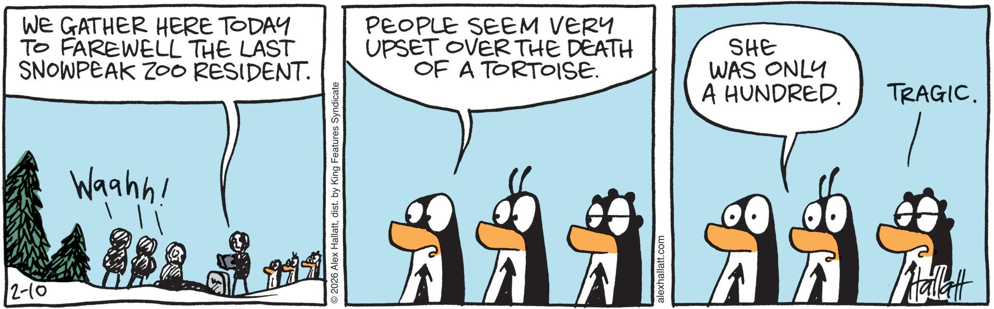 Animated cartoon OCR: 2-10 WE GATHER HERE TODAY TO FAREWELL THE LAST SNOWPEAK ZOO RESIDENT. Waahh! 2026 Alex Hallattdist. by King Features Syndicate PEOPLE SEEM VERY UPSET OVER THE DEATH OF A TORTOISE. SHE WAS ONLY A HUNDRED. alexhallatt.com TRAGIC. 2-10 WE GATHER HERE TODAY TO FAREWELL THE LAST SNOWPEAK ZOO RESIDENT . Waahh ! 2026 Alex Hallattdist . by King Features Syndicate PEOPLE SEEM VERY UPSET OVER THE DEATH OF A TORTOISE . SHE WAS ONLY A HUNDRED . alexhallatt.com TRAGIC .
