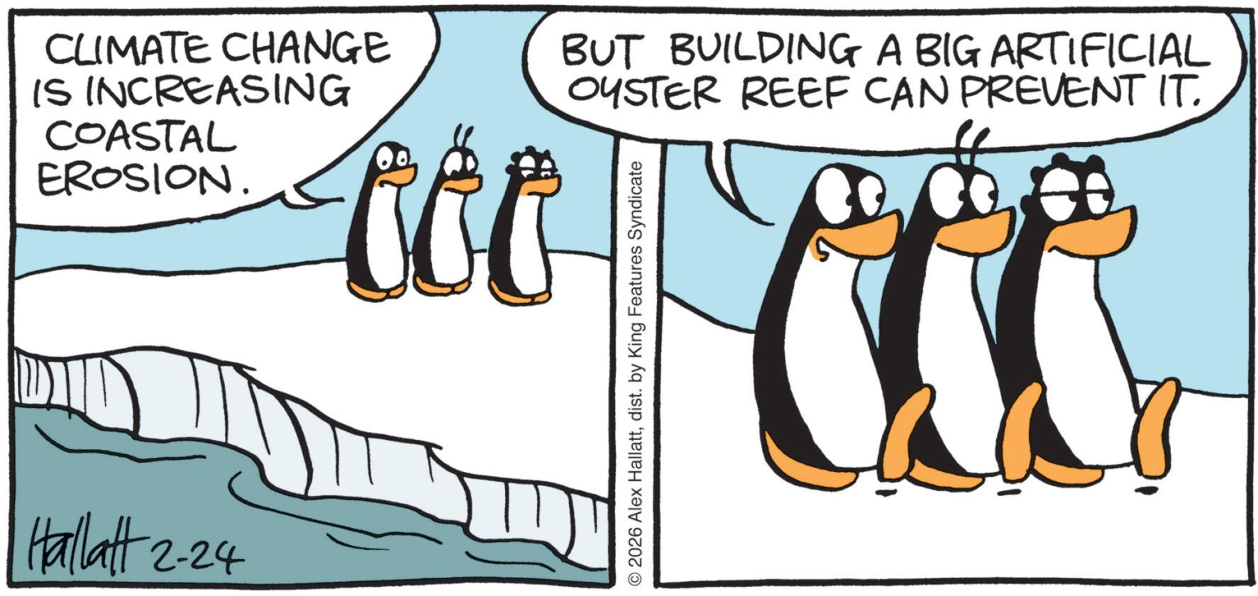 Bird OCR: CLIMATE CHANGE IS INCREASING COASTAL EROSION. Hallatt 2-24 BUT BUILDING A BIG ARTIFICIAL OYSTER REEF CAN PREVENT IT. to o p p p © 2026 Alex Hallattdist. by King Features Syndicate CLIMATE CHANGE IS INCREASING COASTAL EROSION . Hallatt 2-24 BUT BUILDING A BIG ARTIFICIAL OYSTER REEF CAN PREVENT IT . to o p p p © 2026 Alex Hallattdist . by King Features Syndicate