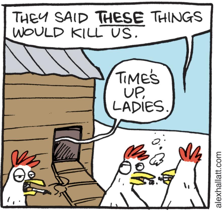 Livestock OCR: THEY SAID THESE THINGS WOULD KILL US. TIME'S UP LADIES. M alexhallatt.com THEY SAID THESE THINGS WOULD KILL US . TIME'S UP LADIES . M alexhallatt.com