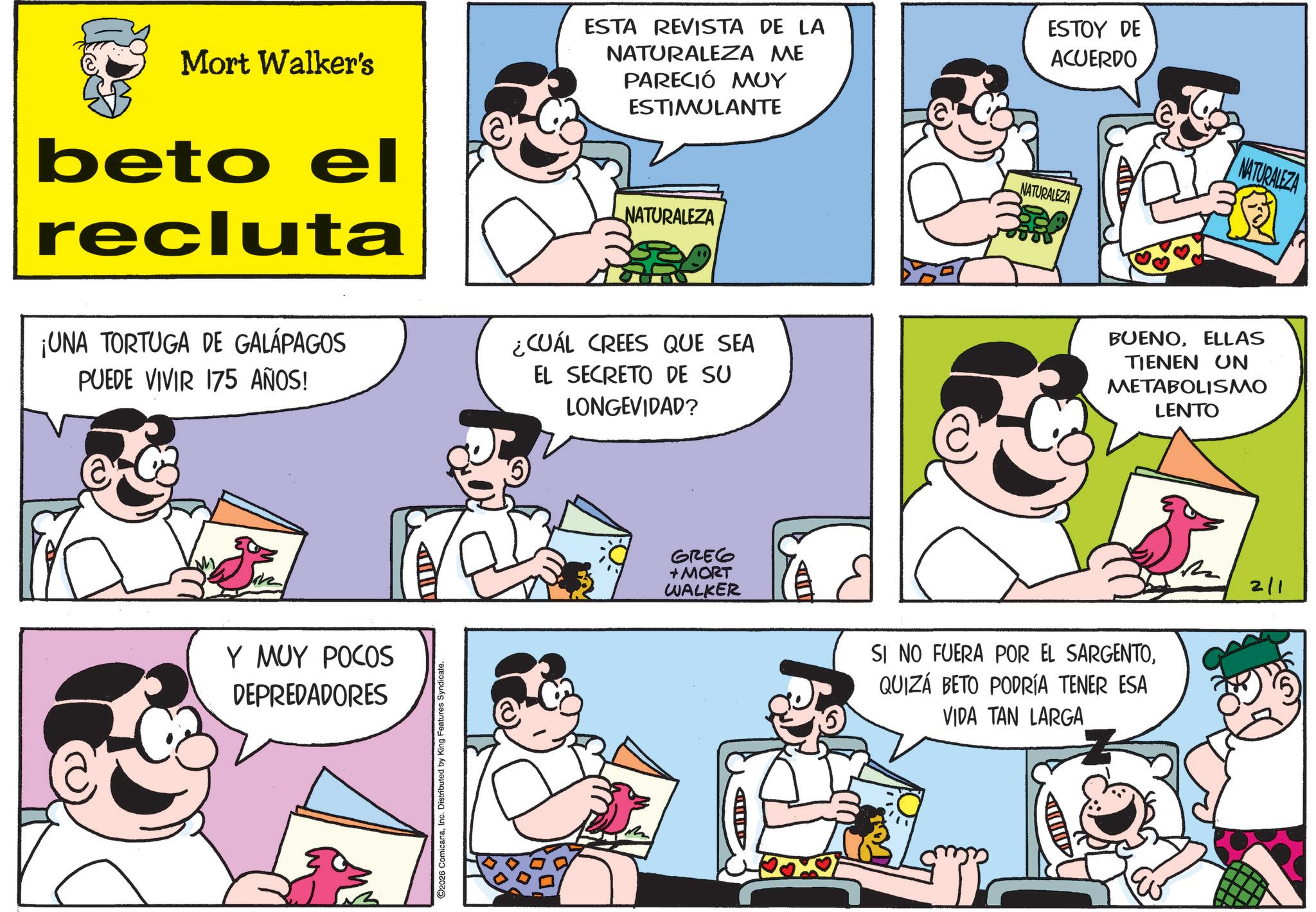 Conversation OCR: Mort Walker's beto el recluta ¡UNA TORTUGA DE GALÁPAGOS PUEDE VIVIR 175 AÑOS! ESTA REVISTA DE LA NATURALEZA ME PARECIÓ MUY ESTIMULANTE NATURALEZA ¿CUÁL CREES QUE SEA EL SECRETO DE SU LONGEVIDAD? ESTOY DE ACUERDO NATURALEZA Y MUY POCOS DEPREDADORES 2026 ComicanaInc. Distributed by King Features Syndicate. GREG + MORT WALKER A SI NO FUERA POR EL SARGENTOQUIZÁ BETO PODRÍA TENER ESA VIDA TAN LARGA BUENOELLAS TIENEN UN METABOLISMO LENTO 2 2/1 NATURALEZA Mort Walker's beto el recluta ¡ UNA TORTUGA DE GALÁPAGOS PUEDE VIVIR 175 AÑOS ! ESTA REVISTA DE LA NATURALEZA ME PARECIÓ MUY ESTIMULANTE NATURALEZA ¿ CUÁL CREES QUE SEA EL SECRETO DE SU LONGEVIDAD ? ESTOY DE ACUERDO NATURALEZA Y MUY POCOS DEPREDADORES 2026 ComicanaInc. Distributed by King Features Syndicate . GREG + MORT WALKER A SI NO FUERA POR EL SARGENTOQUIZÁ BETO PODRÍA TENER ESA VIDA TAN LARGA BUENOELLAS TIENEN UN METABOLISMO LENTO 2 2/1 NATURALEZA