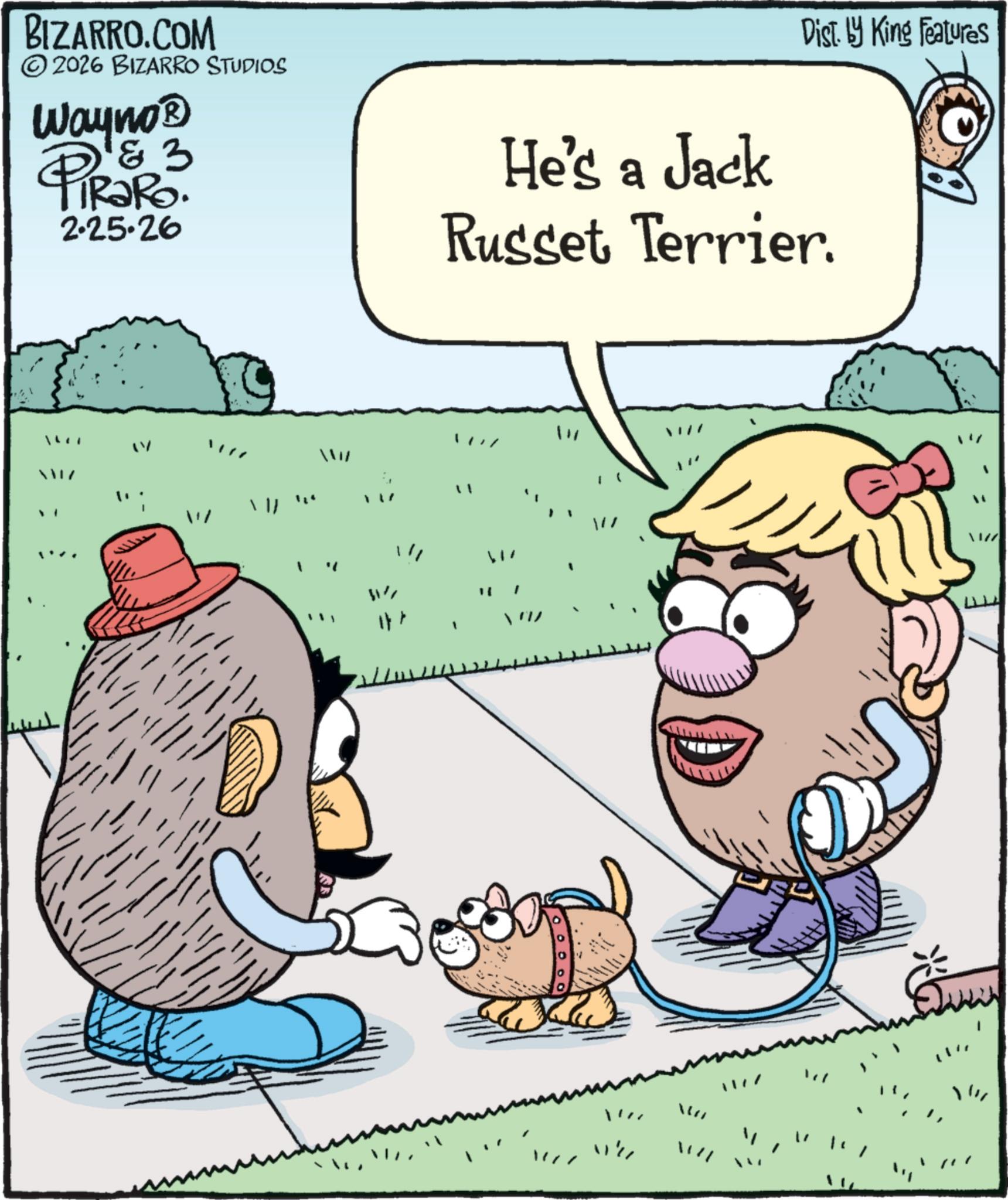 Animation OCR: Dist. by King Features BIZARRO.COM ©2026 BIZARRO STUDIOS Wayno? 4 183 RaRo. 2.25.26 He's a Jack Russet Terrier. 1427 XMIZ " W " 617 W !!! " XIZZ Dist . by King Features BIZARRO.COM © 2026 BIZARRO STUDIOS Wayno? 4 183 RaRo . 2.25.26 He's a Jack Russet Terrier . 1427 XMIZ " W " 617 W !!! " XIZZ