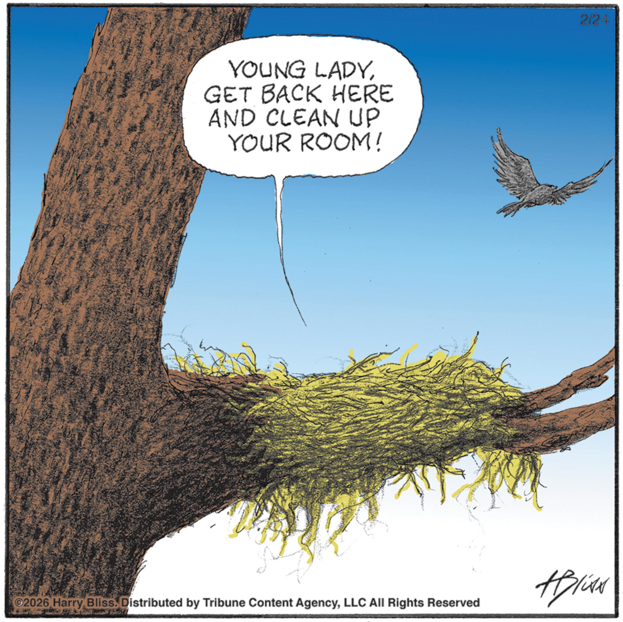 Bird nest OCR: YOUNG LADYGET BACK HERE AND CLEAN UP YOUR ROOM! 2/24 #Bliss 02026 Harry Bliss. Distributed by Tribune Content AgencyLLC All Rights Reserved YOUNG LADYGET BACK HERE AND CLEAN UP YOUR ROOM ! 2/24 #Bliss 02026 Harry Bliss . Distributed by Tribune Content AgencyLLC All Rights Reserved