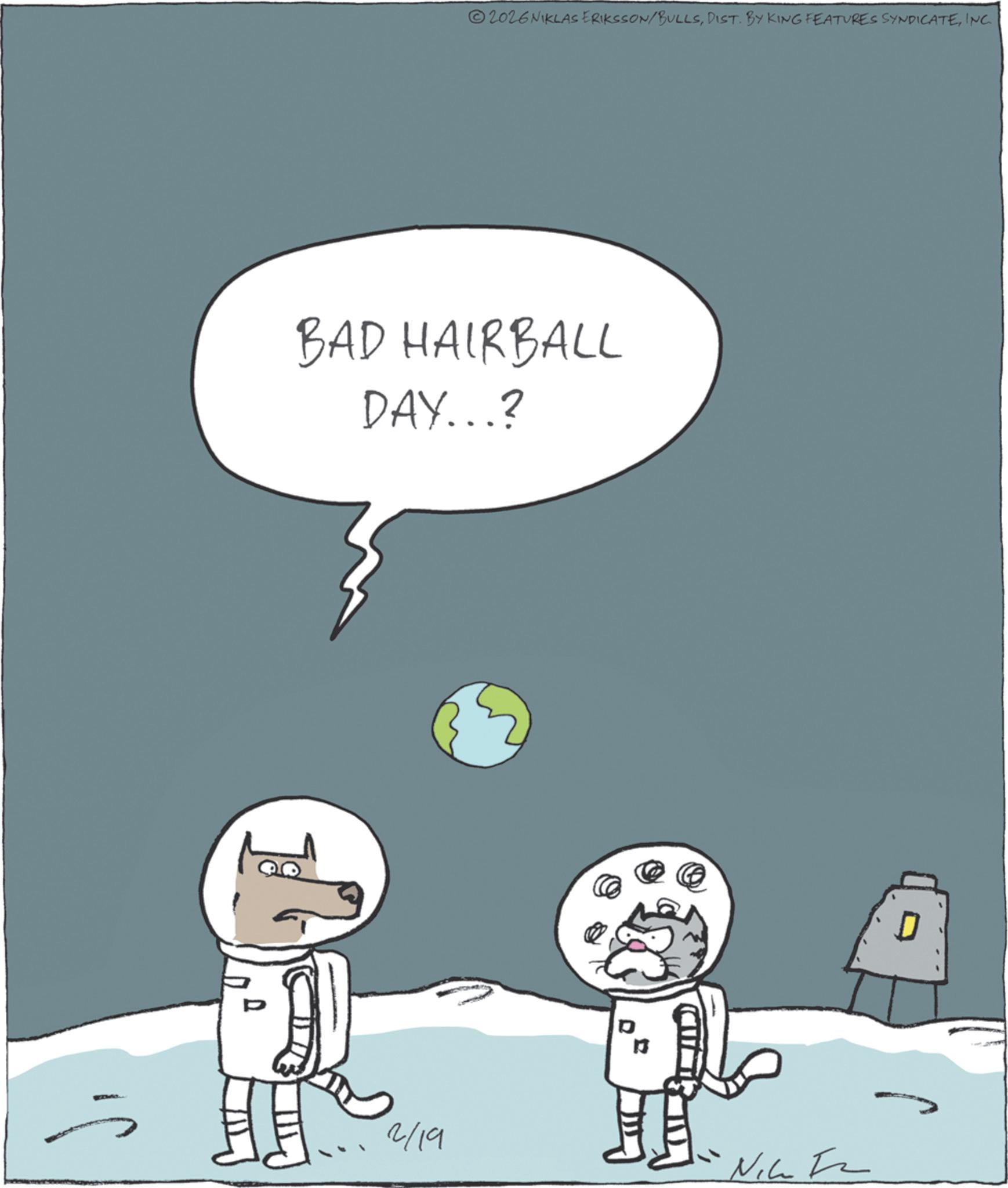 Animated cartoon OCR: 2026 NIKLAS ERIKSSON/BULLSINC. BAD HAIRBALL DAY...? 2/19 13 Nic D 2026 NIKLAS ERIKSSON / BULLSDIST . BY KING FEATURES SYNDICATEINC . BAD HAIRBALL DAY ... ? 2/19 13 Nic D