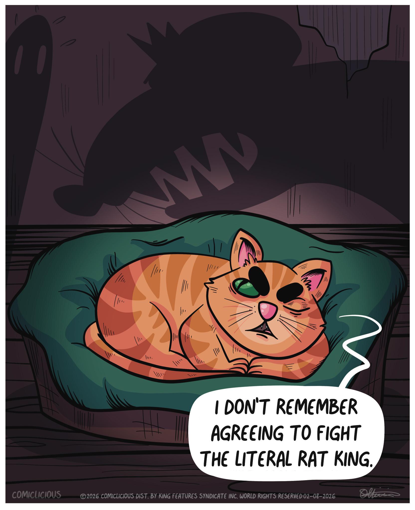 Photo caption OCR: = www I DON'T REMEMBER AGREEING TO FIGHT THE LITERAL RAT KING. COMICLICIOUS 2026 COMICLICIOUS DIST. BY KING FEATURES SYNDICATE INC. WORLD RIGHTS RESERVED 02-08-2026 Oltinis = www I DON'T REMEMBER AGREEING TO FIGHT THE LITERAL RAT KING . COMICLICIOUS 2026 COMICLICIOUS DIST . BY KING FEATURES SYNDICATE INC . WORLD RIGHTS RESERVED 02-08-2026 Oltinis