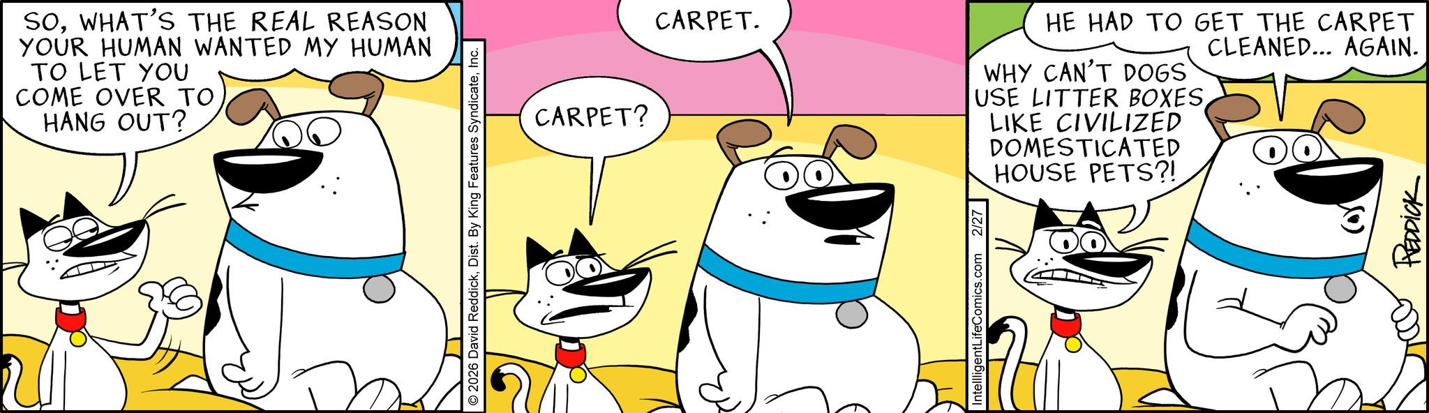Pleased OCR: SOWHAT'S THE REAL REASON YOUR HUMAN WANTED MY HUMAN TO LET YOU COME OVER TO HANG OUT? O2026 David ReddickInc. CARPET? CARPET. IntellligentLifeComics.com 2/27 HE HAD TO GET THE CARPET CLEANED... AGAIN. WHY CAN'T DOGS USE LITTER BOXESLIKE CIVILIZED DOMESTICATED HOUSE PETS?! REDDICK SOWHAT'S THE REAL REASON YOUR HUMAN WANTED MY HUMAN TO LET YOU COME OVER TO HANG OUT ? O2026 David ReddickDist . By King Features SyndicateInc. CARPET ? CARPET . IntellligentLifeComics.com 2/27 HE HAD TO GET THE CARPET CLEANED ... AGAIN . WHY CAN'T DOGS USE LITTER BOXESLIKE CIVILIZED DOMESTICATED HOUSE PETS ?! REDDICK