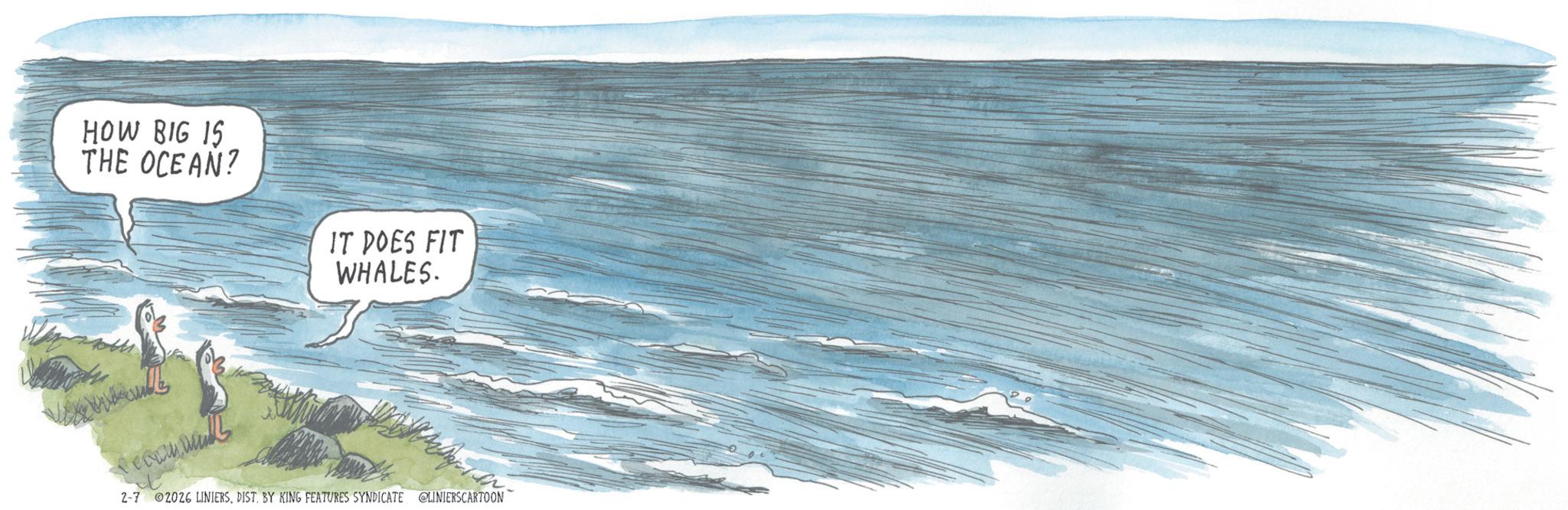 Child art OCR: HOW BIG IS THE OCEAN? IT DOES FIT WHALES. www 2-7 2026 LINIERSDIST. BY KING FEATURES SYNDICATE @LINIERSCARTOON HOW BIG IS THE OCEAN ? IT DOES FIT WHALES . www 2-7 2026 LINIERSDIST . BY KING FEATURES SYNDICATE @LINIERSCARTOON