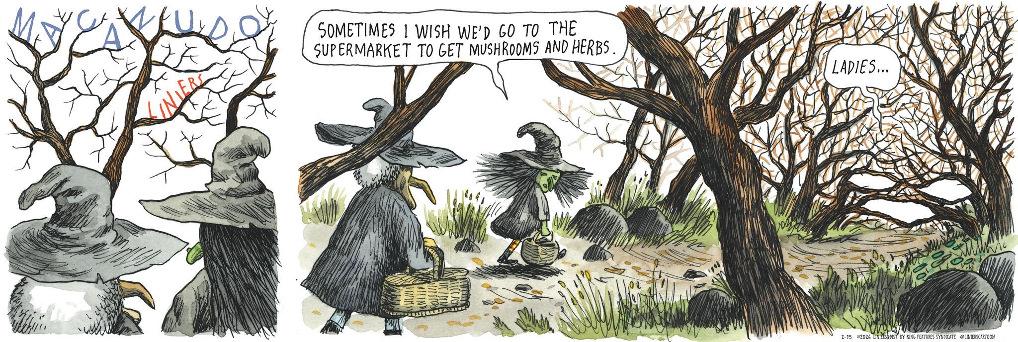 Animated cartoon OCR: SOMETIMES I WISH WE'D GO TO THE SUPERMARKET TO GET MUSHROOMS AND HERBS. LADIES... 2-15 2026 LINIERS DIST. BY KING FEATURES SYNDICATE @LINIERSCARTOON SOMETIMES I WISH WE'D GO TO THE SUPERMARKET TO GET MUSHROOMS AND HERBS . LADIES ... 2-15 2026 LINIERS DIST . BY KING FEATURES SYNDICATE @LINIERSCARTOON