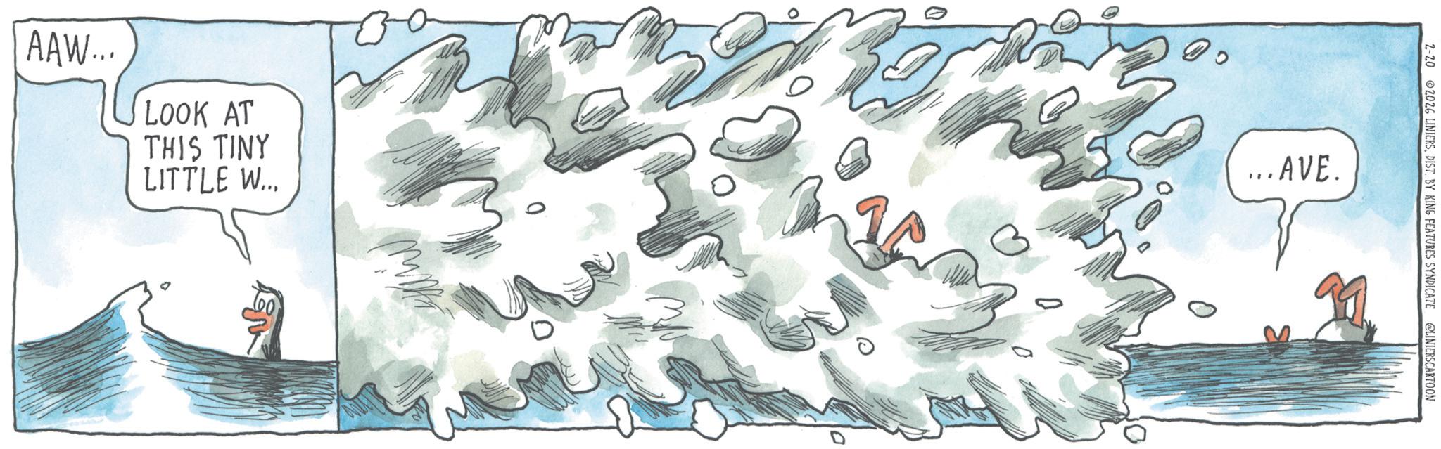 Ice cap OCR: 2-202026 LINIERS. DIST. BY KING FEATURES SYNDICATE @LINIERSCARTOON AAW... LOOK AT THIS TINY LITTLE W... ... AVE. 2-202026 LINIERS . DIST . BY KING FEATURES SYNDICATE @LINIERSCARTOON AAW ... LOOK AT THIS TINY LITTLE W ... ... AVE .