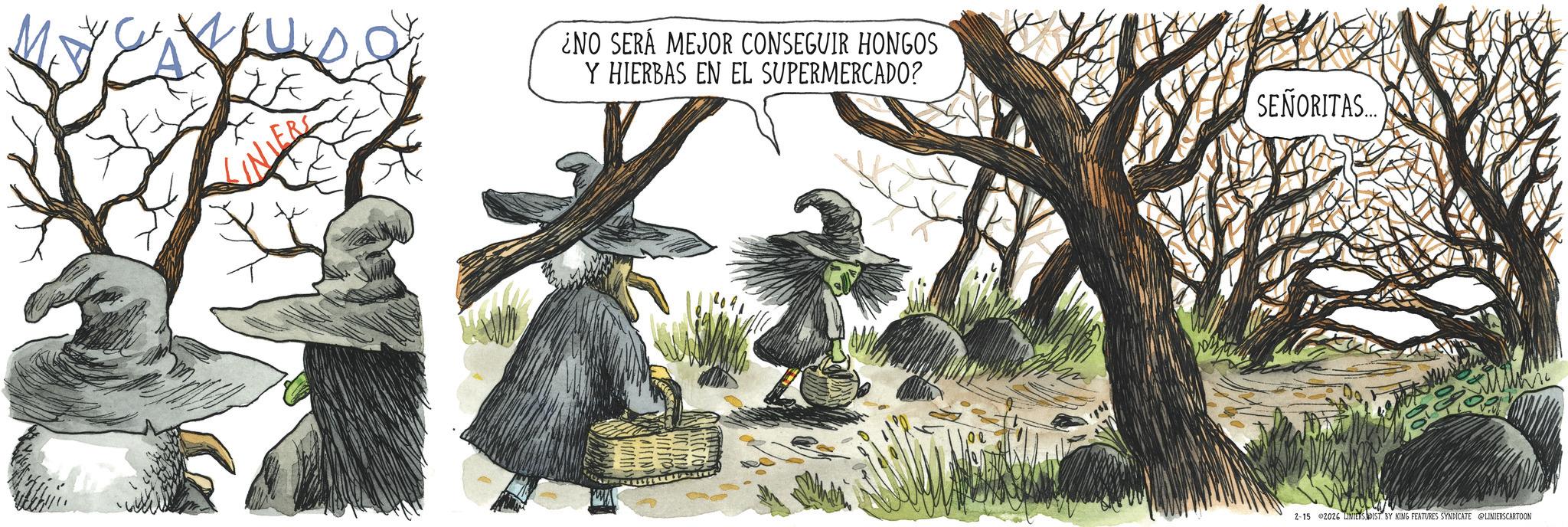 Animated cartoon OCR: NIERS NO SERÁ MEJOR CONSEGUIR HONGOS Y HIERBAS EN EL SUPERMERCADO? SEÑORITAS go 2-15 2026 LINIERS DIST. BY KING FEATURES SYNDICATE @LINIERSCARTOON NIERS NO SERÁ MEJOR CONSEGUIR HONGOS Y HIERBAS EN EL SUPERMERCADO ? SEÑORITAS go 2-15 2026 LINIERS DIST . BY KING FEATURES SYNDICATE @LINIERSCARTOON