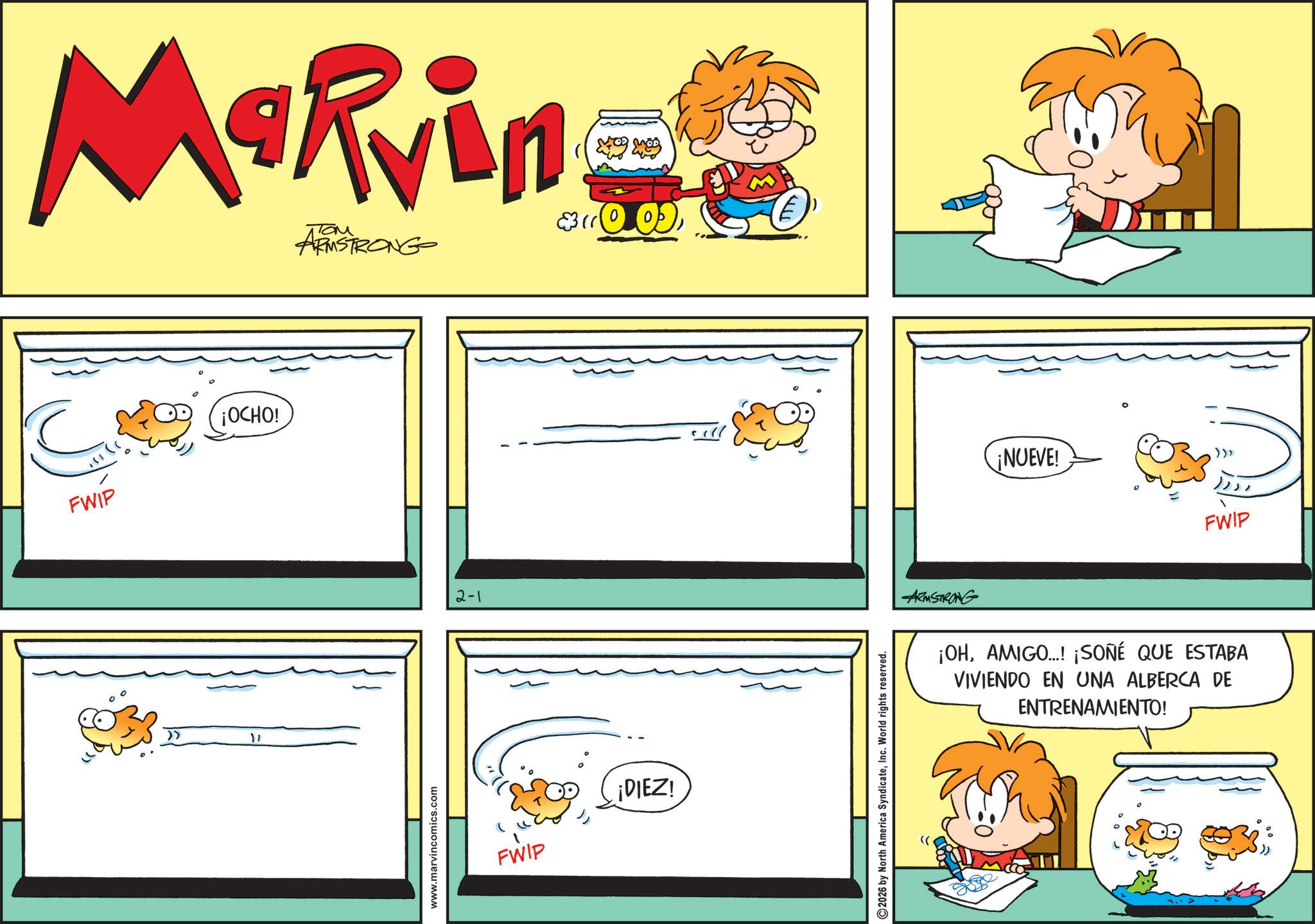 Fiction OCR: Marvin ??? ARMSTRONG 11 FWIP 11 ¡OCHO! www.marvincomics.com 2-1 FWIP ¡DIEZ! 2026 by North America SyndicateInc. World rights reserved. ¡NUEVE! >>> FWIP ARMSTRONG ¡OHAMIGO...! ¡SOÑÉ QUE ESTABA VIVIENDO EN UNA ALBERCA DE ENTRENAMIENTO! Marvin ??? ARMSTRONG 11 FWIP 11 ¡ OCHO ! www.marvincomics.com 2-1 FWIP ¡ DIEZ ! 2026 by North America SyndicateInc. World rights reserved . ¡ NUEVE ! >>> FWIP ARMSTRONG ¡ OHAMIGO ... ! ¡ SOÑÉ QUE ESTABA VIVIENDO EN UNA ALBERCA DE ENTRENAMIENTO !