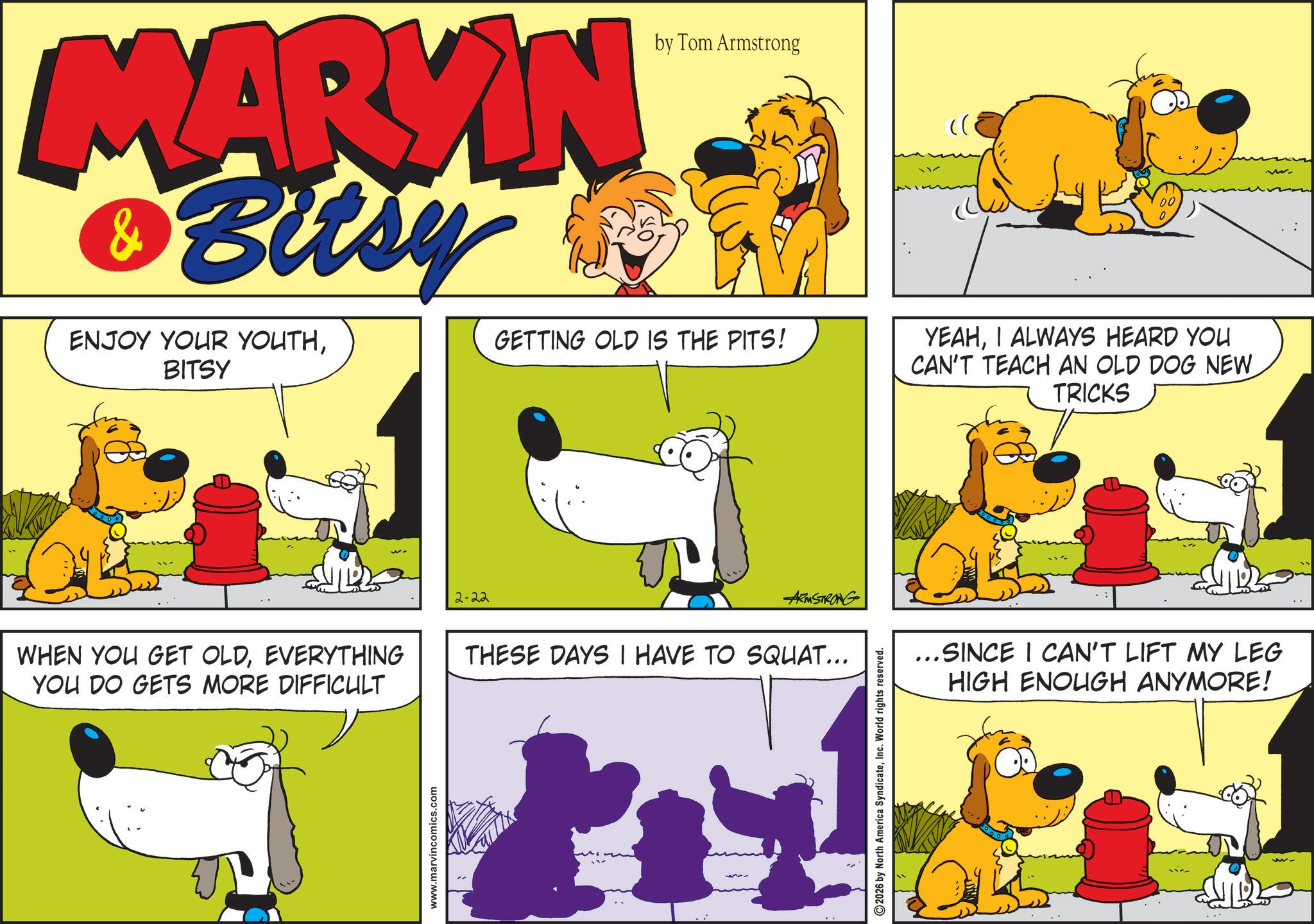 Fictional character OCR: MARYIN & Bitsy ENJOY YOUR YOUTHBITSY by Tom Armstrong GETTING OLD IS THE PITS! WHEN YOU GET OLDEVERYTHING YOU DO GETS MORE DIFFICULT www.marvincomics.com " 2-22 ARMSTRONG THESE DAYS I HAVE TO SQUAT... 2026 by North America SyndicateInc. World rights reserved. YEAHI ALWAYS HEARD YOU CAN'T TEACH AN OLD DOG NEW TRICKS ... SINCE I CAN'T LIFT MY LEG HIGH ENOUGH ANYMORE! W MARYIN & Bitsy ENJOY YOUR YOUTHBITSY by Tom Armstrong GETTING OLD IS THE PITS ! WHEN YOU GET OLDEVERYTHING YOU DO GETS MORE DIFFICULT www.marvincomics.com " 2-22 ARMSTRONG THESE DAYS I HAVE TO SQUAT ... 2026 by North America SyndicateInc. World rights reserved . YEAHI ALWAYS HEARD YOU CAN'T TEACH AN OLD DOG NEW TRICKS ... SINCE I CAN'T LIFT MY LEG HIGH ENOUGH ANYMORE ! W