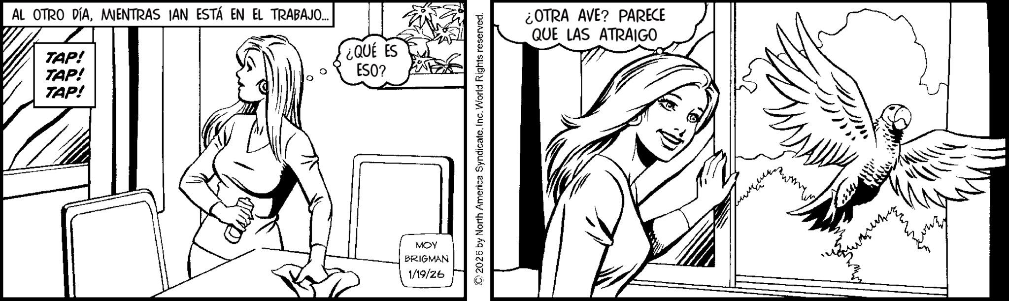 Fiction OCR: AL OTRO DÍAMIENTRAS IAN ESTÁ EN EL TRABAJO... TAP! TAP! TAP! ¿QUÉ ES ESO? MOY BRIGMAN 1/19/26 © 2026 by North America SyndicateInc. World Rights reserved. ¿OTRA AVE? PARECE QUE LAS ATRAIGO AL OTRO DÍAMIENTRAS IAN ESTÁ EN EL TRABAJO ... TAP ! TAP ! TAP ! ¿ QUÉ ES ESO ? MOY BRIGMAN 1/19/26 © 2026 by North America SyndicateInc. World Rights reserved . ¿ OTRA AVE ? PARECE QUE LAS ATRAIGO