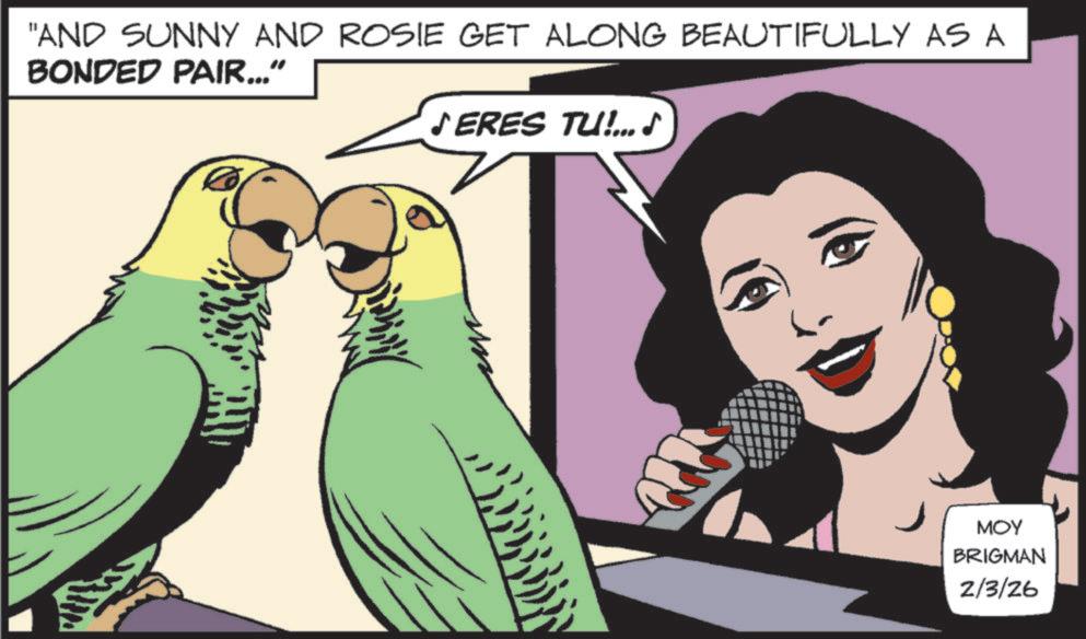 Animation OCR: "AND SUNNY AND ROSIE GET ALONG BEAUTIFULLY AS A BONDED PAIR..." JERES TU!...? MOY BRIGMAN 2/3/26 " AND SUNNY AND ROSIE GET ALONG BEAUTIFULLY AS A BONDED PAIR ... " JERES TU ! ... ? MOY BRIGMAN 2/3/26