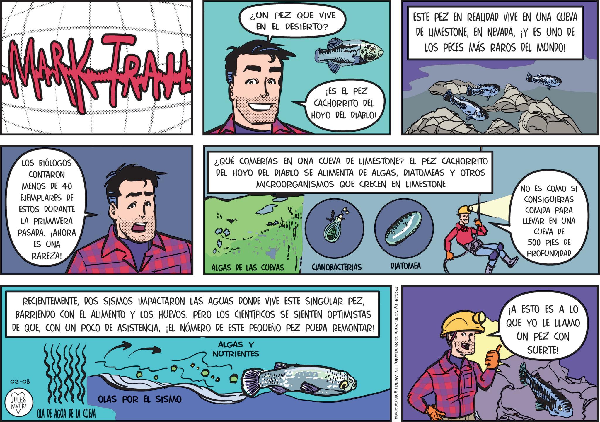 Publication OCR: MARK TRAN ¿UN PEZ QUE VIVE EN EL DESIERTO? ¡ES EL PEZ CACHORRITO DEL HOYO DEL DIABLO! ESTE PEZ EN REALIDAD VIVE EN UNA CUEVA DE LIMESTONE¡Y ES UNO DE LOS PECES MÁS RAROS DEL MUNDO! LOS BIÓLOGOS CONTARON MENOS DE 40 EJEMPLARES DE ESTOS DURANTE LA PRIMAVERA PASADA. ¡AHORA ES UNA RAREZA! ¿QUÉ COMERÍAS EN UNA CUEVA DE LIMESTONE? EL PEZ CACHORRITO DEL HOYO DEL DIABLO SE ALIMENTA DE ALGASDIATOMEAS Y OTROS MICROORGANISMOS QUE CRECEN EN LIMESTONE NO ES COMO SI CONSIGUIERAS COMIDA PARA LLEVAR EN UNA CUEVA DE 500 PIES DE PROFUNDIDAD ALGAS DE LAS CUEVAS 1; CIANOBACTERIAS DIATOMEA RECIENTEMENTEBARRIENDO CON EL ALIMENTO Y LOS HUEVOS. PERO LOS CIENTÍFICOS SE SIENTEN OPTIMISTAS DE QUE¡EL NÚMERO DE ESTE PEQUEÑO PEZ PUEDA REMONTAR! ALGAS Y 02-08 JULES RIVERA OLA DE AGUA DE LA CUEVA OLAS POR EL SISMO NUTRIENTES 2026 by North America SyndicateInc. World rights reserved. ¡A ESTO ES A LO QUE YO LE LLAMO UN PEZ CON SUERTE! MARK TRAN ¿ UN PEZ QUE VIVE EN EL DESIERTO ? ¡ ES EL PEZ CACHORRITO DEL HOYO DEL DIABLO ! ESTE PEZ EN REALIDAD VIVE EN UNA CUEVA DE LIMESTONEEN NEVADA¡ Y ES UNO DE LOS PECES MÁS RAROS DEL MUNDO ! LOS BIÓLOGOS CONTARON MENOS DE 40 EJEMPLARES DE ESTOS DURANTE LA PRIMAVERA PASADA . ¡ AHORA ES UNA RAREZA ! ¿ QUÉ COMERÍAS EN UNA CUEVA DE LIMESTONE ? EL PEZ CACHORRITO DEL HOYO DEL DIABLO SE ALIMENTA DE ALGASDIATOMEAS Y OTROS MICROORGANISMOS QUE CRECEN EN LIMESTONE NO ES COMO SI CONSIGUIERAS COMIDA PARA LLEVAR EN UNA CUEVA DE 500 PIES DE PROFUNDIDAD ALGAS DE LAS CUEVAS 1 ; CIANOBACTERIAS DIATOMEA RECIENTEMENTEDOS SISMOS IMPACTARON LAS AGUAS DONDE VIVE ESTE SINGULAR PEZBARRIENDO CON EL ALIMENTO Y LOS HUEVOS . PERO LOS CIENTÍFICOS SE SIENTEN OPTIMISTAS DE QUECON UN POCO DE ASISTENCIA¡ EL NÚMERO DE ESTE PEQUEÑO PEZ PUEDA REMONTAR ! ALGAS Y 02-08 JULES RIVERA OLA DE AGUA DE LA CUEVA OLAS POR EL SISMO NUTRIENTES 2026 by North America SyndicateInc. World rights reserved . ¡ A ESTO ES A LO QUE YO LE LLAMO UN PEZ CON SUERTE !