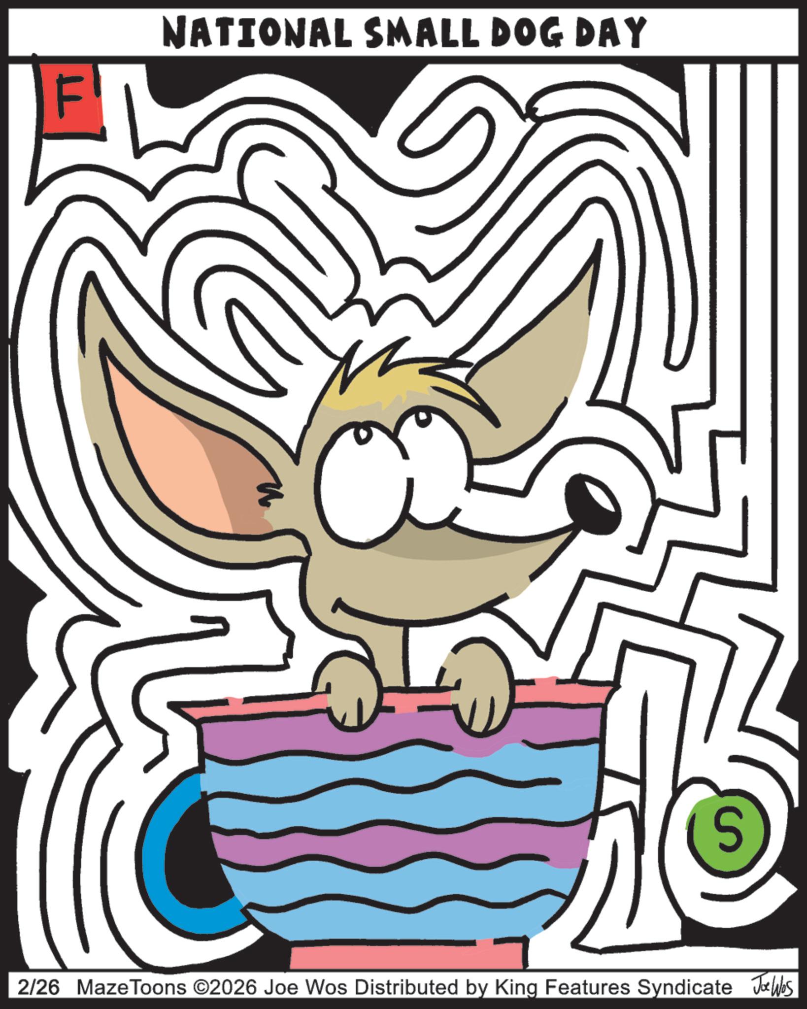 Clip art OCR: F NATIONAL SMALL DOG DAY S 2/26 MazeToons ©2026 Joe Wos Distributed by King Features Syndicate Jobs F NATIONAL SMALL DOG DAY S 2/26 MazeToons © 2026 Joe Wos Distributed by King Features Syndicate Jobs