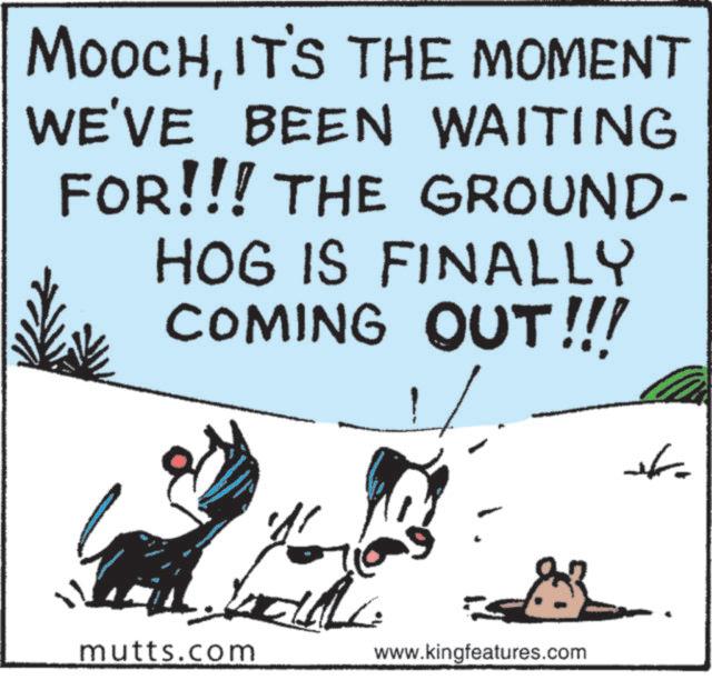 Animated cartoon OCR: MOOCHIT'S THE MOMENT WE'VE BEEN WAITING FOR!!! THE GROUND- HOG IS FINALLY COMING OUT!!! mutts.com www.kingfeatures.com MOOCHIT'S THE MOMENT WE'VE BEEN WAITING FOR !!! THE GROUND- HOG IS FINALLY COMING OUT !!! mutts.com www.kingfeatures.com