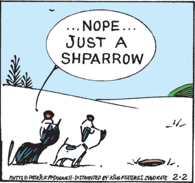 Animation OCR: ... NOPE... JUST A SHPARROW -- MUTTS © PATRICK MYDONNE DISTRIBUTED BY KING FEATURES SYNDICATE 2.2 ... NOPE ... JUST A SHPARROW -- MUTTS © PATRICK MYDONNE DISTRIBUTED BY KING FEATURES SYNDICATE 2.2
