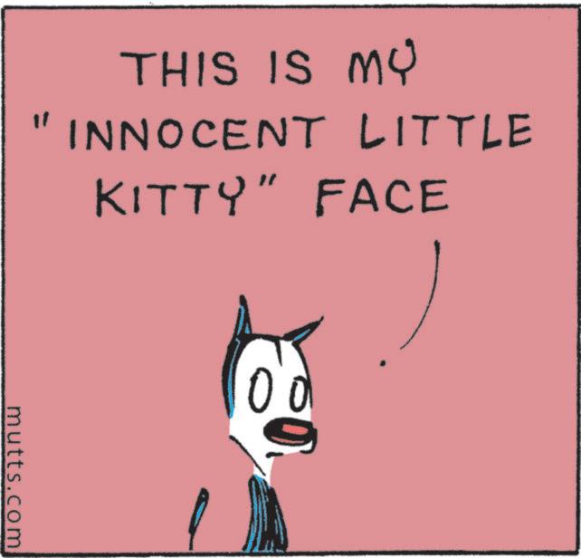 Animation OCR: THIS IS MY " INNOCENT LITTLE KITTY" FACE mutts.com 0 www THIS IS MY " INNOCENT LITTLE KITTY " FACE mutts.com 0 www