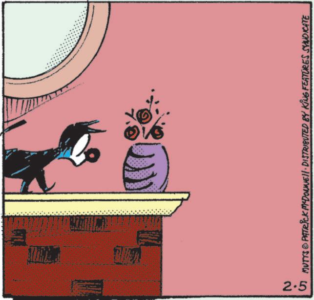 Felidae OCR: wwww 2.5 MUTTS © PATRICK MCDONNEll · DISTRIBUTED BY KING FEATURES SYNDICATE wwww 2.5 MUTTS © PATRICK MCDONNEll · DISTRIBUTED BY KING FEATURES SYNDICATE
