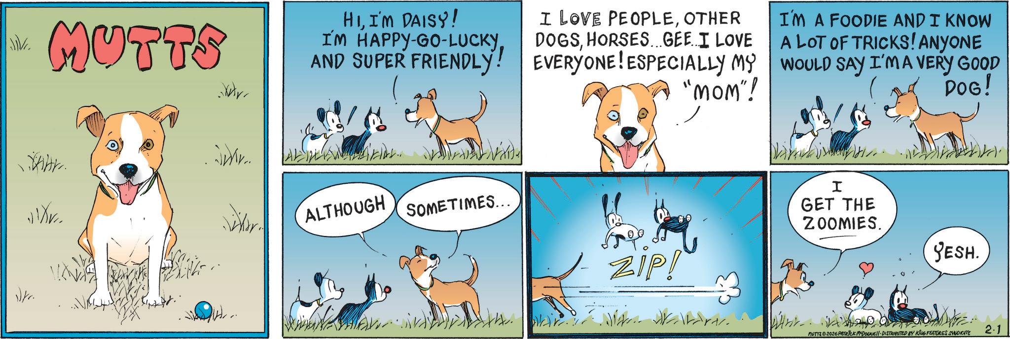 Fiction OCR: MUTTS HII'M DAISY! I'M HAPPY-GO-LUCKYOTHER DOGSHORSES...GEE. I LOVE I'M A FOODIE AND I KNOW A LOT OF TRICKS! ANYONE AND SUPER FRIENDLY! EVERYONE! ESPECIALLY MY WOULD SAY I'M A VERY GOOD Mr.. ALTHOUGH SOMETIMES... "MOM"! I DOG! GET THE ZOOMIES. YESH. ZIP! With Waldres. MUTYS 2026 PATRICK MEDONNE. DISTRIBUTED BY KING FEATURES SYNDICATE 2.1 MUTTS HII'M DAISY ! I'M HAPPY - GO - LUCKYI LOVE PEOPLEOTHER DOGSHORSES ... GEE . I LOVE I'M A FOODIE AND I KNOW A LOT OF TRICKS ! ANYONE AND SUPER FRIENDLY ! EVERYONE ! ESPECIALLY MY WOULD SAY I'M A VERY GOOD Mr .. ALTHOUGH SOMETIMES ... " MOM " ! I DOG ! GET THE ZOOMIES . YESH . ZIP ! With Waldres . MUTYS 2026 PATRICK MEDONNE . DISTRIBUTED BY KING FEATURES SYNDICATE 2.1
