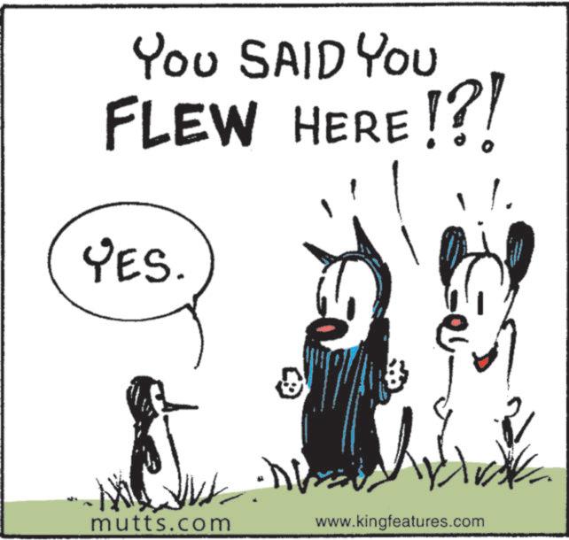 Mutts - Part 1 - 2026-02-25