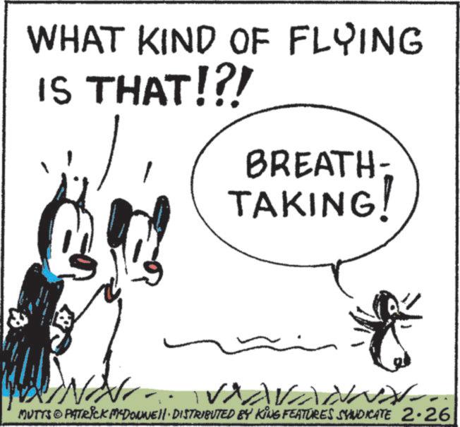 Fiction OCR: WHAT KIND OF FLYING IS THAT!?! BREATH- TAKING N VAVANNA MUTTS © PATRICK MEDONNE DISTRIBUTED BY KING FEATURES SYNDICATE 2.26 WHAT KIND OF FLYING IS THAT ! ? ! BREATH- TAKING N VAVANNA MUTTS © PATRICK MEDONNE DISTRIBUTED BY KING FEATURES SYNDICATE 2.26