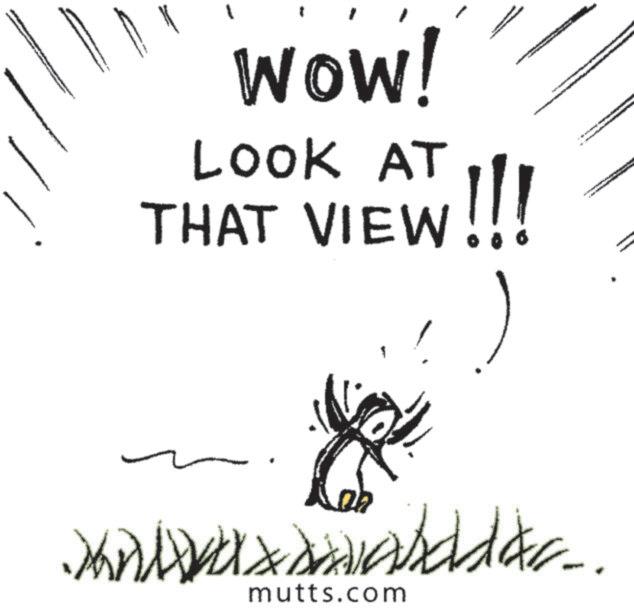 Child art OCR: Wow! LOOK AT THAT VIEW!!! .. mutts.com Wow ! LOOK AT THAT VIEW !!! .. mutts.com