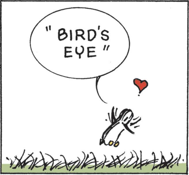 Sketch OCR: BIRD'S EYE " BIRD'S EYE "