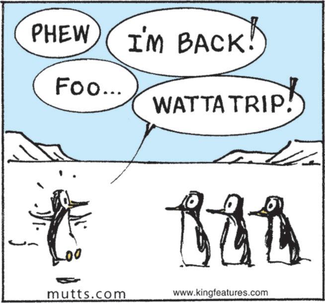 Photo caption OCR: PHEW I'M BACK! Foo... WATTA TRIP! * lan 00 mutts.com www.kingfeatures.com PHEW I'M BACK ! Foo ... WATTA TRIP ! * lan 00 mutts.com www.kingfeatures.com