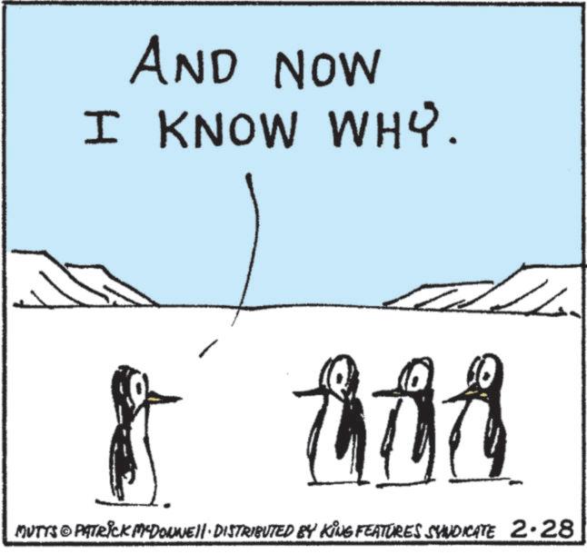Beak OCR: AND NOW I KNOW WHY. & haa MUTTS © PATRICK MEDONNE DISTRIBUTED BY KING FEATURES SYNDICATE 2.28 AND NOW I KNOW WHY . & haa MUTTS © PATRICK MEDONNE DISTRIBUTED BY KING FEATURES SYNDICATE 2.28