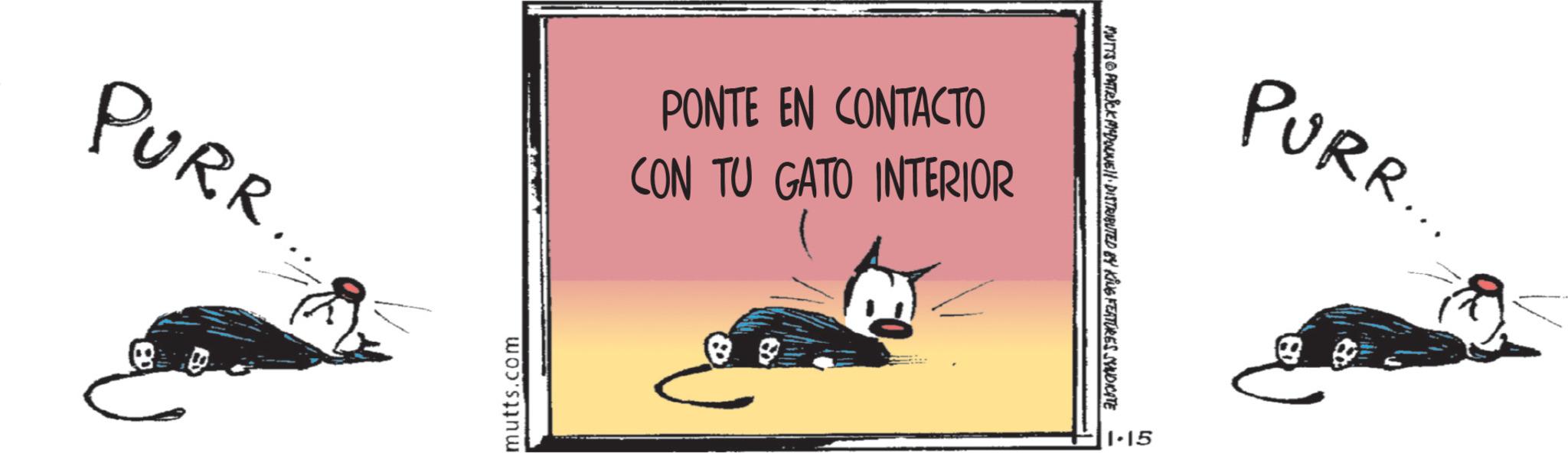 Photo caption OCR: PURR.... PONTE EN CONTACTO CON TU GATO INTERIOR mutts.com 88 MUTTS PATRICK MADONIEN DISTRIBUTED BY KING FEATURES SYNDICATE PURR... 1-15 PURR .... PONTE EN CONTACTO CON TU GATO INTERIOR mutts.com 88 MUTTS PATRICK MADONIEN DISTRIBUTED BY KING FEATURES SYNDICATE PURR ... 1-15