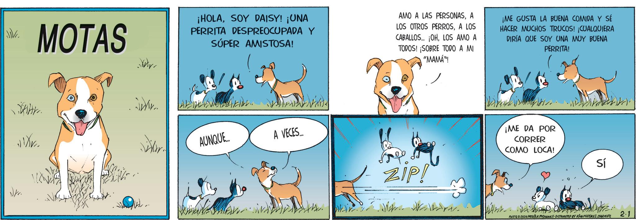 Working animal OCR: MOTAS ¡HOLASOY DAISY! ¡UNA PERRITA DESPREOCUPADA Y SÚPER AMISTOSA! AMO A LAS PERSONASA LOS OTROS PERROSA LOS CABALLOS... ¡OHLOS AMO A TODOS! ¡SOBRE TODO A MI "MAMA"! ¡ME GUSTA LA BUENA COMIDA Y SE HACER MUCHOS TRUCOS! ¡CUALQUIERA DIRÍA QUE SOY UNA MUY BUENA PERRITA! AUNQUE... A VECES.... ZIP! ¡ME DA POR CORRER COMO LOCA! Sí MUTYS @2026 PATRICK MCDOUNE DISTRIBUTED BY KING FEATURES SYNDICATE 2.1 MOTAS ¡ HOLASOY DAISY ! ¡ UNA PERRITA DESPREOCUPADA Y SÚPER AMISTOSA ! AMO A LAS PERSONASA LOS OTROS PERROSA LOS CABALLOS ... ¡ OHLOS AMO A TODOS ! ¡ SOBRE TODO A MI " MAMA " ! ¡ ME GUSTA LA BUENA COMIDA Y SE HACER MUCHOS TRUCOS ! ¡ CUALQUIERA DIRÍA QUE SOY UNA MUY BUENA PERRITA ! AUNQUE ... A VECES .... ZIP ! ¡ ME DA POR CORRER COMO LOCA ! Sí MUTYS @ 2026 PATRICK MCDOUNE DISTRIBUTED BY KING FEATURES SYNDICATE 2.1
