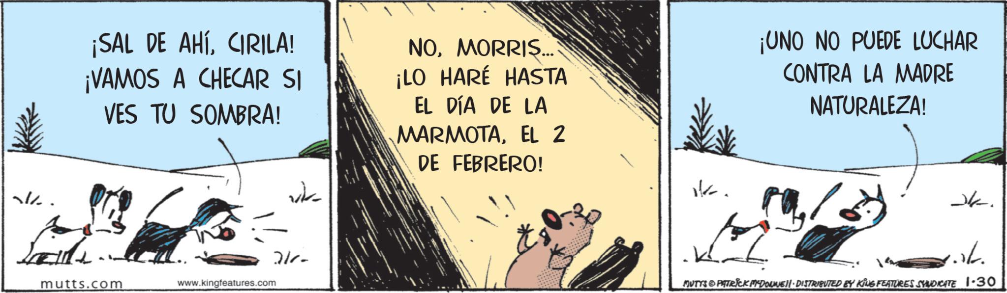 Photo caption OCR: . ¡SAL DE AHÍCIRILA! ¡VAMOS A CHECAR SI VES TU SOMBRA! vk NOMORRIS... ¡LO HARÉ HASTA EL DÍA DE LA MARMOTAEL 2 DE FEBRERO! ¡UNO NO PUEDE LUCHAR CONTRA LA MADRE NATURALEZA! ?? mutts.com www.kingfeatures.com 2/- K MUTTS & PATRICK MYDOWNE • DISTRIBUTED BY KING FEATURES SYNDICATE 1.30 . ¡ SAL DE AHÍCIRILA ! ¡ VAMOS A CHECAR SI VES TU SOMBRA ! vk NOMORRIS ... ¡ LO HARÉ HASTA EL DÍA DE LA MARMOTAEL 2 DE FEBRERO ! ¡ UNO NO PUEDE LUCHAR CONTRA LA MADRE NATURALEZA ! ?? mutts.com www.kingfeatures.com 2 / - K MUTTS & PATRICK MYDOWNE • DISTRIBUTED BY KING FEATURES SYNDICATE 1.30