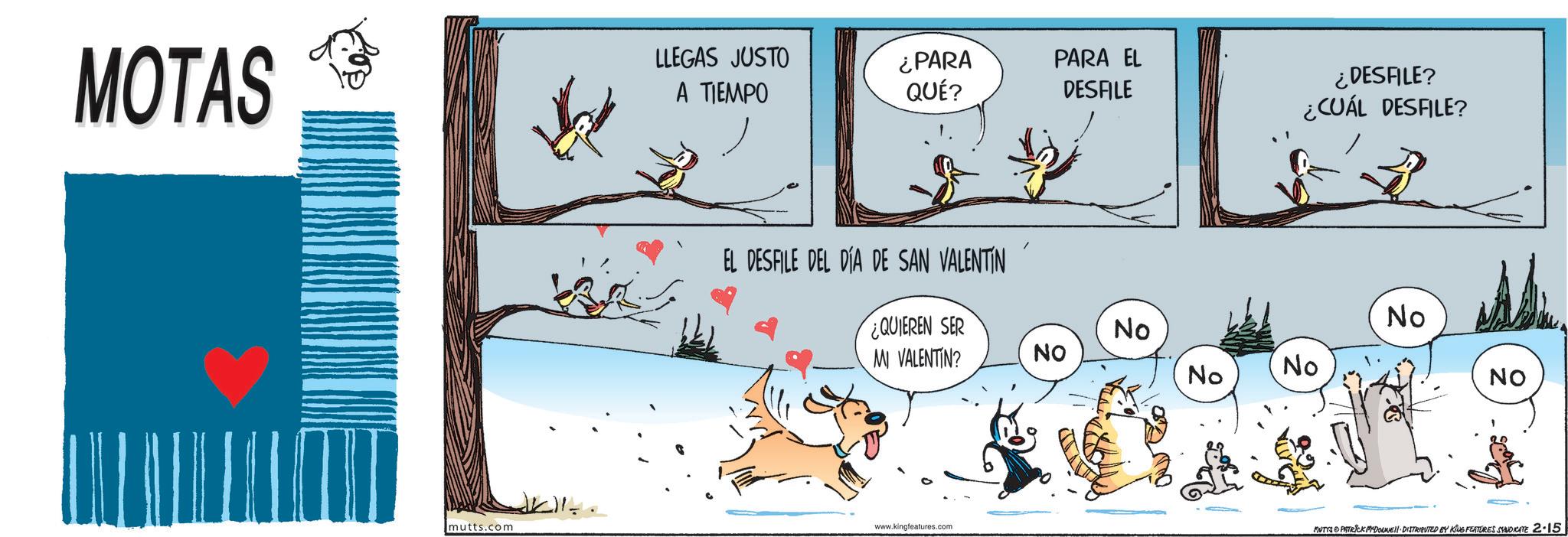 Photo caption OCR: MOTAS LLEGAS JUSTO A TIEMPO ¿PARA QUÉ? PARA EL DESFILE EL DESFILE DEL DÍA DE SAN VALENTIN ¿QUIEREN SER MI VALENTIN? mutts.com www.kingfeatures.com ¿DESFILE? ¿CUÁL DESFILE? No No NO No No NO MUTTS PATRICK MYDOUNE DISTRIBUTED BY KING FEATURES SYNDICATE 2-15 MOTAS LLEGAS JUSTO A TIEMPO ¿ PARA QUÉ ? PARA EL DESFILE EL DESFILE DEL DÍA DE SAN VALENTIN ¿ QUIEREN SER MI VALENTIN ? mutts.com www.kingfeatures.com ¿ DESFILE ? ¿ CUÁL DESFILE ? No No NO No No NO MUTTS PATRICK MYDOUNE DISTRIBUTED BY KING FEATURES SYNDICATE 2-15