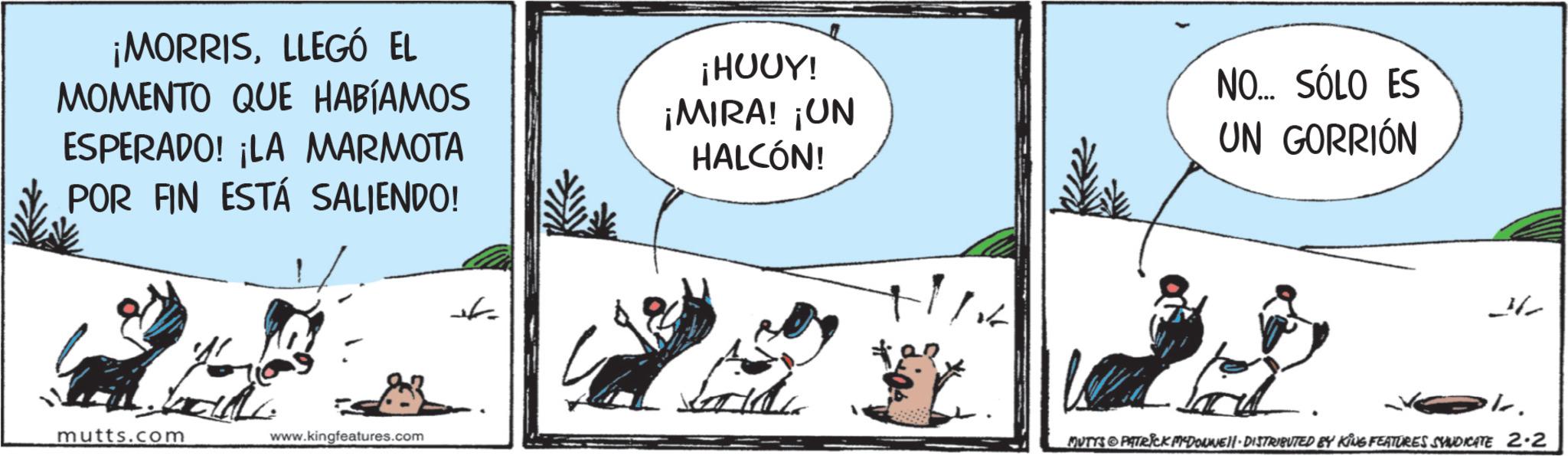 Animated cartoon OCR: ¡MORRISLLEGÓ EL MOMENTO QUE HABÍAMOS ESPERADO! ¡LA MARMOTA POR FIN ESTÁ SALIENDO! mutts.com www.kingfeatures.com ¡HUUY! ¡MIRA! ¡UN HALCÓN! NO... SÓLO ES UN GORRIÓN 3/ MUTYS PATRICK MYDONNELL DISTRIBUTED BY KING FEATURES SYNDICATE 2-2 ¡ MORRISLLEGÓ EL MOMENTO QUE HABÍAMOS ESPERADO ! ¡ LA MARMOTA POR FIN ESTÁ SALIENDO ! mutts.com www.kingfeatures.com ¡ HUUY ! ¡ MIRA ! ¡ UN HALCÓN ! NO ... SÓLO ES UN GORRIÓN 3 / MUTYS PATRICK MYDONNELL DISTRIBUTED BY KING FEATURES SYNDICATE 2-2