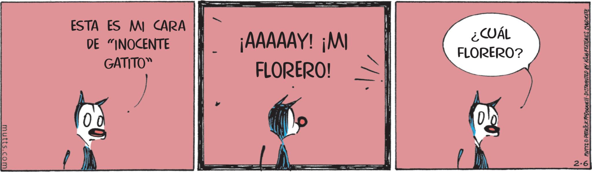 Graphic design OCR: mutts.com ESTA ES MI CARA DE "INOCENTE GATITO" ¡AAAAAY! ¡MI FLORERO! ¿CUÁL FLORERO? MUTTS & PATRICK MADONNE DISTRIBUTED BY KING FEATURES SYNDICATE 2-6 mutts.com ESTA ES MI CARA DE " INOCENTE GATITO " ¡ AAAAAY ! ¡ MI FLORERO ! ¿ CUÁL FLORERO ? MUTTS & PATRICK MADONNE DISTRIBUTED BY KING FEATURES SYNDICATE 2-6
