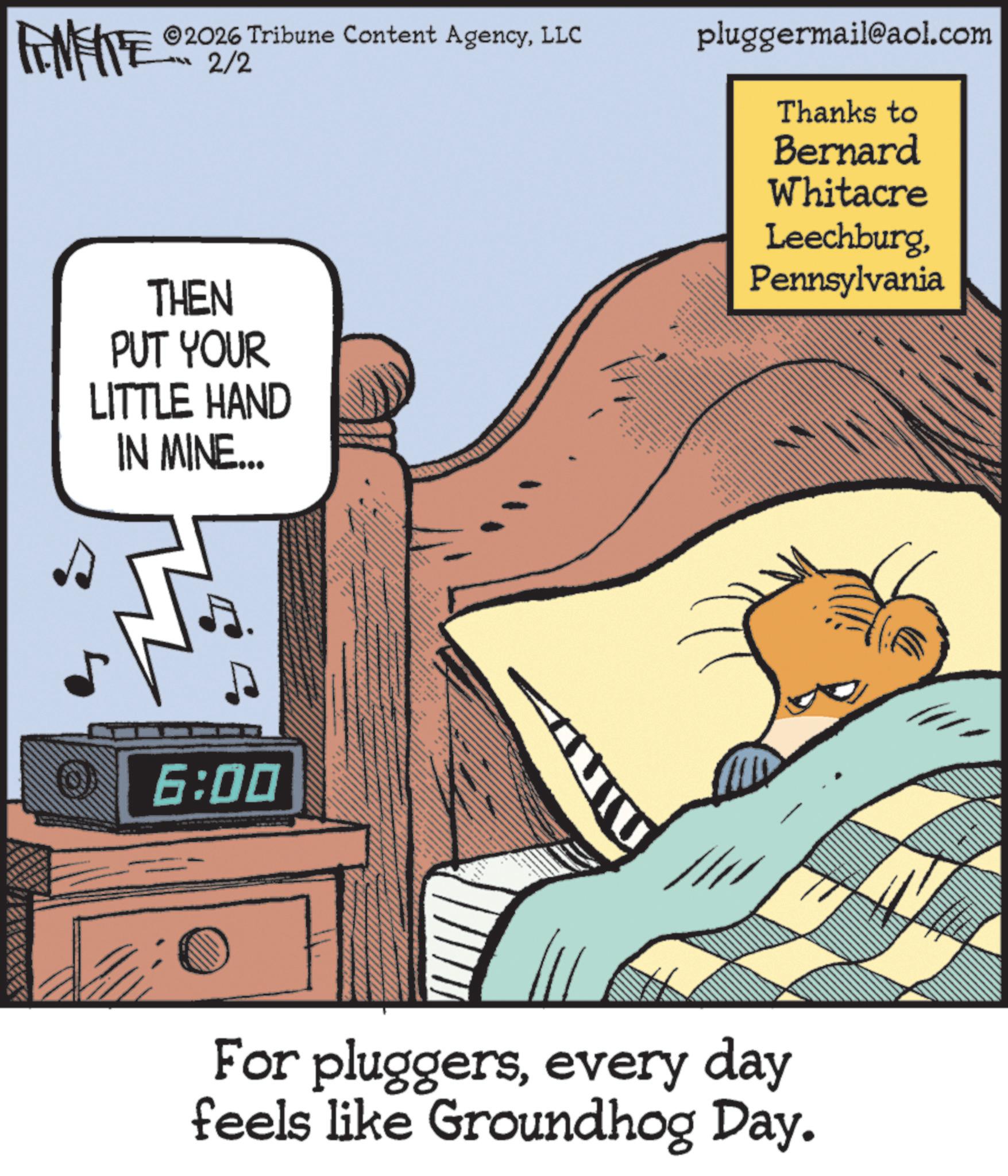 Pluggers - 2026-02-02