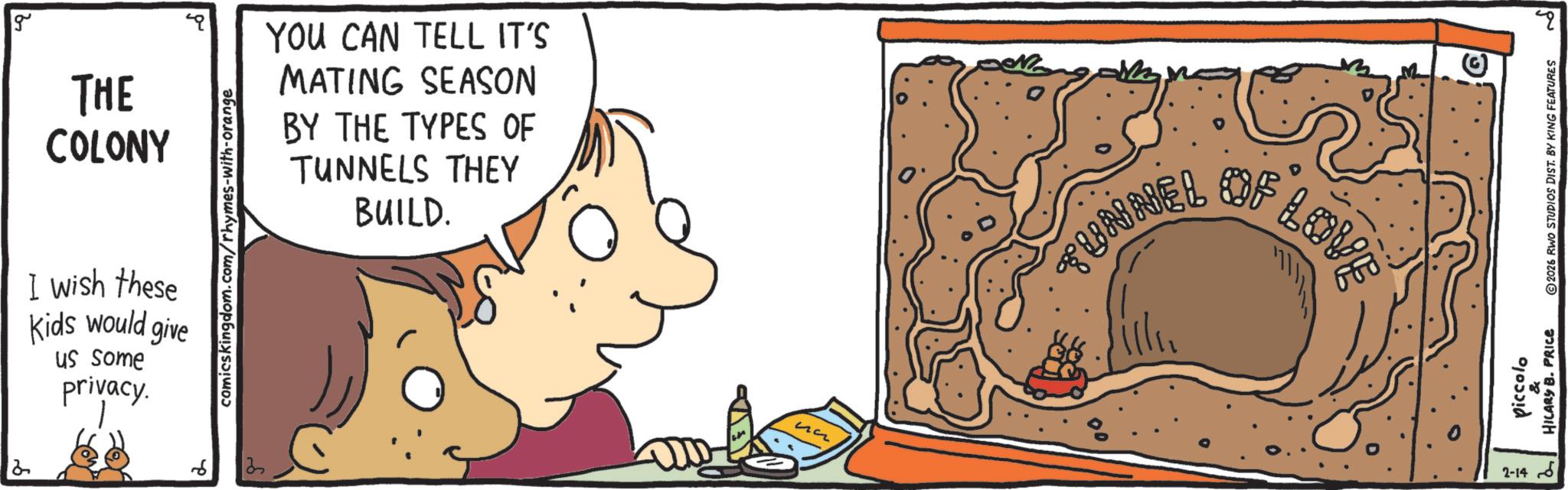 OCR: 2 g THE COLONY I wish these Kids would give us some privacy. comicskingdom.com/rhymes-with-orange YOU CAN TELL IT'S MATING SEASON BY THE TYPES OF TUNNELS THEY BUILD. ? 3 ?? UNNEL LOVE J 20 piccolo HILARY B. PRICE 2026 RWO STUDIOS DIST. BY KING FEATURES 2-14 2 g THE COLONY I wish these Kids would give us some privacy . comicskingdom.com/rhymes-with-orange YOU CAN TELL IT'S MATING SEASON BY THE TYPES OF TUNNELS THEY BUILD . ? 3 ?? UNNEL LOVE J 20 piccolo HILARY B. PRICE 2026 RWO STUDIOS DIST . BY KING FEATURES 2-14