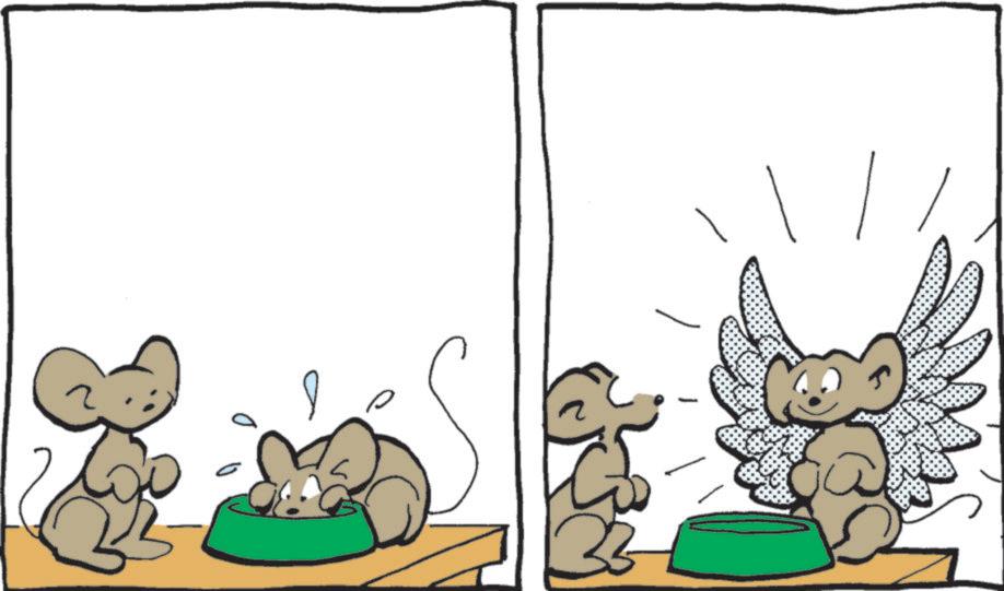 Animation OCR: 33 33