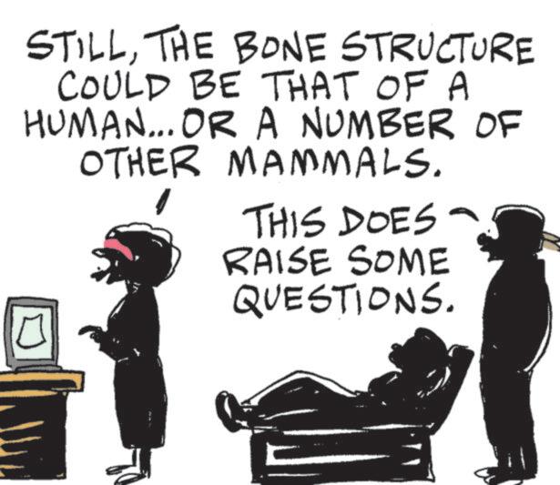 Photo caption OCR: STILLTHE BONE STRUCTURE COULD BE THAT OF A HUMAN... OR A NUMBER OF OTHER MAMMALS. THIS DOES RAISE SOME QUESTIONS. STILLTHE BONE STRUCTURE COULD BE THAT OF A HUMAN ... OR A NUMBER OF OTHER MAMMALS . THIS DOES RAISE SOME QUESTIONS .