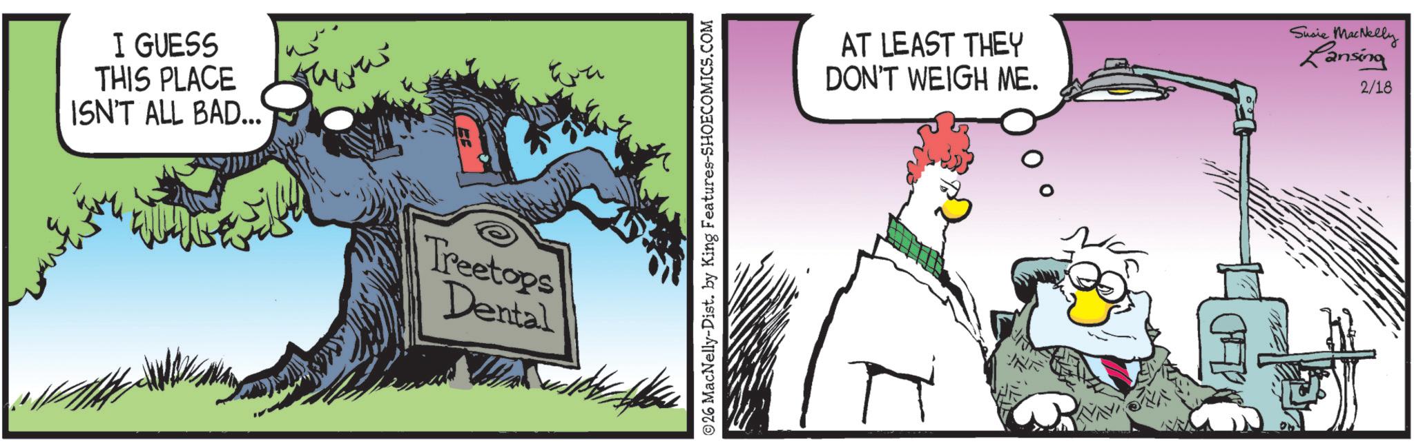 Bird OCR: I GUESS THIS PLACE ISN'T ALL BAD... Treetops Dental 26 MacNelly-Dist. by King Features-SHOECOMICS.COM NA ED AT LEAST THEY DON'T WEIGH ME. Susie MacNelly Lansing 2/18 I GUESS THIS PLACE ISN'T ALL BAD ... Treetops Dental 26 MacNelly - Dist . by King Features-SHOECOMICS.COM NA ED AT LEAST THEY DON'T WEIGH ME . Susie MacNelly Lansing 2/18