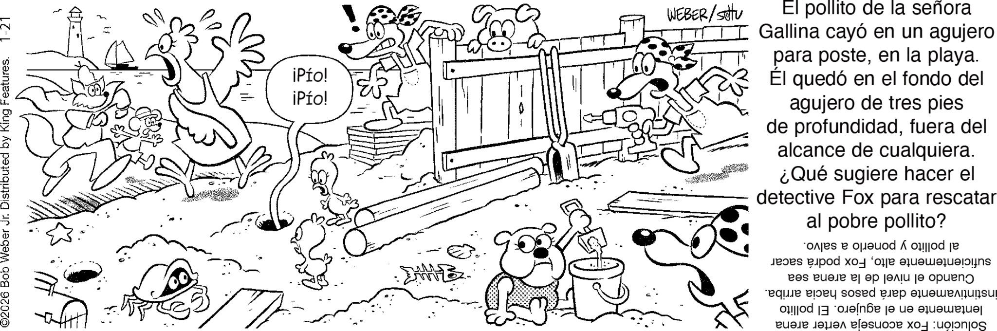 Coloring book OCR: 02026 Bob Weber Jr. Distributed by King Features. 1-21 7 iPío! iPro! WEBER/setu El pollito de la señora Gallina cayó en un agujero para posteen la playa. El quedó en el fondo del agujero de tres pies de profundidadfuera del alcance de cualquiera. ¿Qué sugiere hacer el detective Fox para rescatar al pobre pollito? al pollito y ponerlo a salvo. suficientemente altoFox podrá sacar Cuando el nivel de la arena sea instintivamente dará pasos hacia arriba. lentamente en el agujero. El pollito Solución: Fox aconseja verter arena 02026 Bob Weber Jr. Distributed by King Features . 1-21 7 iPío ! iPro ! WEBER / setu El pollito de la señora Gallina cayó en un agujero para posteen la playa . El quedó en el fondo del agujero de tres pies de profundidadfuera del alcance de cualquiera . ¿ Qué sugiere hacer el detective Fox para rescatar al pobre pollito ? al pollito y ponerlo a salvo . suficientemente altoFox podrá sacar Cuando el nivel de la arena sea instintivamente dará pasos hacia arriba . lentamente en el agujero . El pollito Solución : Fox aconseja verter arena