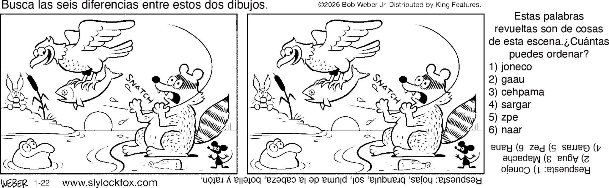 Fictional character OCR: Busca las seis diferencias entre estos dos dibujos. SNATCH WEBER 1-22 www.slylockfox.com ©2026 Bob Weber Jr. Distributed by King Features. SNATCH Estas palabras revueltas son de cosas de esta escena. ¿Cuántas puedes 1) joneco 2) gaau 3) cehpama 4) sargar 5) zpe 6) naar ordenar? 4) Garras 2) Agua 3) Mapache Respuesta: 1) Conejo 5) Pez 6) Rana Respuesta: hojasbotella y ratón. Busca las seis diferencias entre estos dos dibujos . SNATCH WEBER 1-22 www.slylockfox.com © 2026 Bob Weber Jr. Distributed by King Features . SNATCH Estas palabras revueltas son de cosas de esta escena . ¿ Cuántas puedes 1 ) joneco 2 ) gaau 3 ) cehpama 4 ) sargar 5 ) zpe 6 ) naar ordenar ? 4 ) Garras 2 ) Agua 3 ) Mapache Respuesta : 1 ) Conejo 5 ) Pez 6 ) Rana Respuesta : hojaspluma de la cabezabotella y ratón .