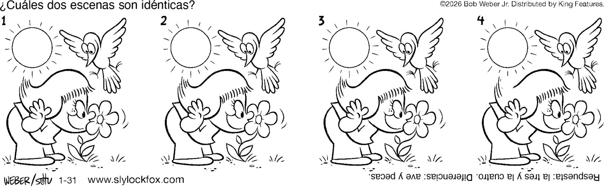 Coloring book OCR: ¿Cuáles dos escenas son idénticas? 1 2 ?? WEBER/Settu 1-31 www.slylockfox.com ?? 3 ©2026 Bob Weber Jr. Distributed by King Features. Respuesta: la tres y la cuatro. Diferencias: ave y pecas. ?? ?? ¿ Cuáles dos escenas son idénticas ? 1 2 ?? WEBER / Settu 1-31 www.slylockfox.com ?? 3 © 2026 Bob Weber Jr. Distributed by King Features . Respuesta : la tres y la cuatro . Diferencias : ave y pecas . ?? ??