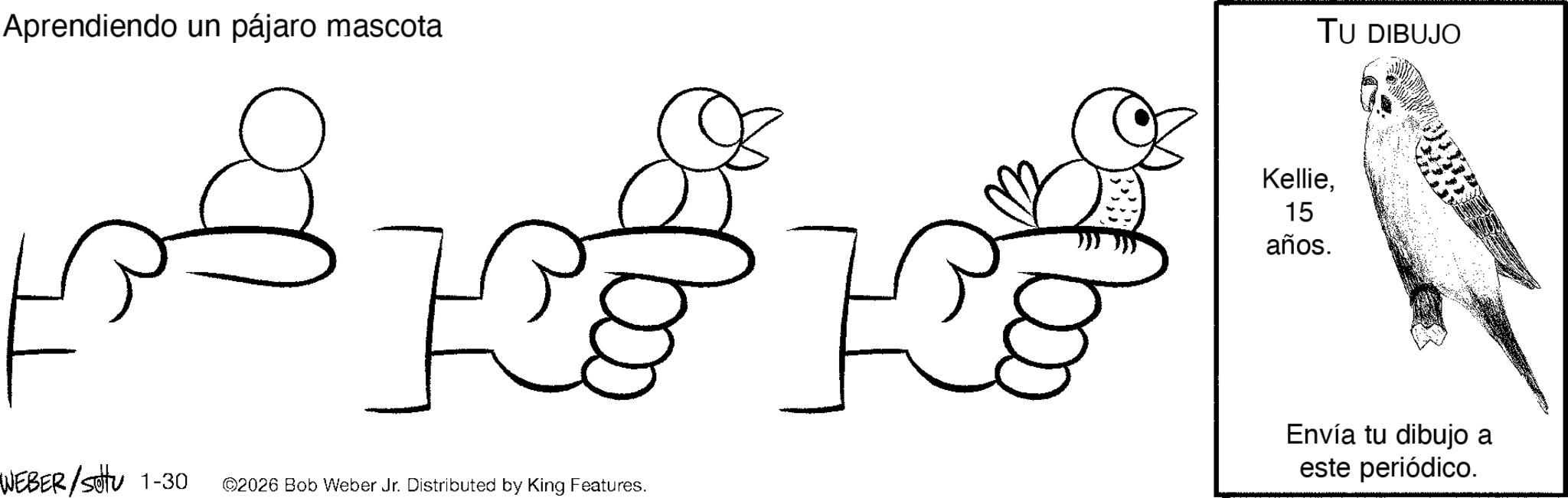 Beak OCR: Aprendiendo un pájaro mascota TU DIBUJO K WEBER/SU 1-30 ©2026 Bob Weber Jr. Distributed by King Features. K Kellie15 años. Envía tu dibujo a este periódico. Aprendiendo un pájaro mascota TU DIBUJO K WEBER / SU 1-30 © 2026 Bob Weber Jr. Distributed by King Features . K Kellie15 años . Envía tu dibujo a este periódico .