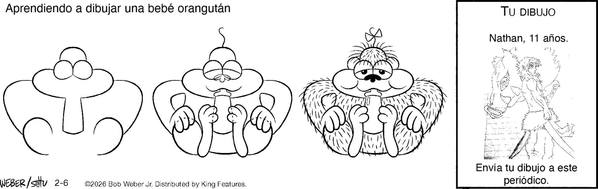 Coloring book OCR: Aprendiendo a dibujar una bebé orangután WEBER/Settu 2-6. ©2026 Bob Weber Jr. Distributed by King Features. TU DIBUJO Nathan11 años. Envía tu dibujo a este periódico. Aprendiendo a dibujar una bebé orangután WEBER / Settu 2-6 . © 2026 Bob Weber Jr. Distributed by King Features . TU DIBUJO Nathan11 años . Envía tu dibujo a este periódico .