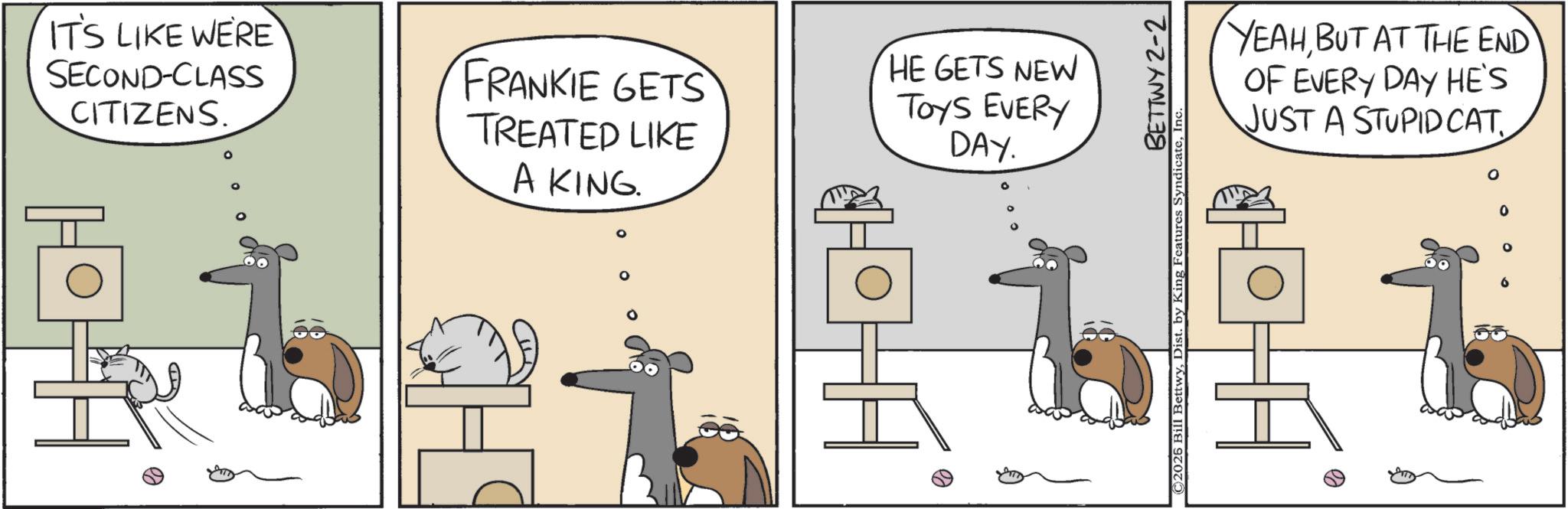 OCR: IT'S LIKE WERE SECOND-CLASS CITIZENS. FRANKIE GETS TREATED LIKE A KING. HE GETS NEW TOYS EVERY DAY. BETTWY 2-2 ©2026 Bill BettwyIn YEAHBUT AT THE END OF EVERY DAY HE'S JUST A STUPID CATIT'S LIKE WERE SECOND - CLASS CITIZENS . FRANKIE GETS TREATED LIKE A KING . HE GETS NEW TOYS EVERY DAY . BETTWY 2-2 © 2026 Bill BettwyDist . by King Features SyndicateIn YEAHBUT AT THE END OF EVERY DAY HE'S JUST A STUPID CAT