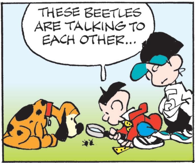 Graphics OCR: THESE BEETLES ARE TALKING TO EACH OTHER... THESE BEETLES ARE TALKING TO EACH OTHER ...