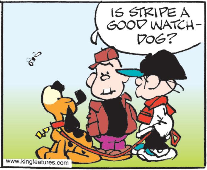 Graphics OCR: www.kingfeatures.com IS STRIPE A GOOD WATCH- DOG? www.kingfeatures.com IS STRIPE A GOOD WATCH- DOG ?